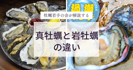 岩牡蠣と真牡蠣の違いってなに!?牡蠣若手の会が解説します。