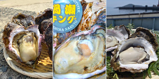 牡蠣若手の会 ブランド岩牡蠣 渦潮キング 糸島 鹿児島