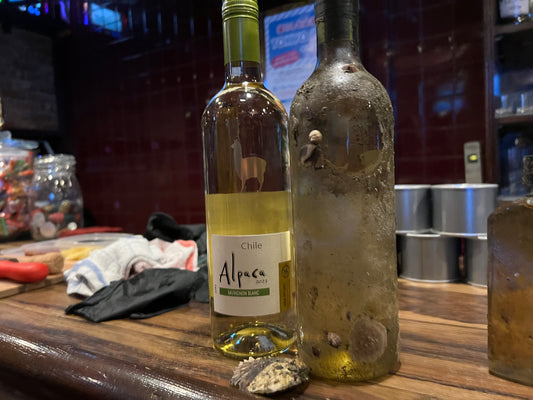 【海底ボトルキープの試飲会を実施】海底熟成させたアルパカと牡蠣のマリアージュイベントを実施しました!