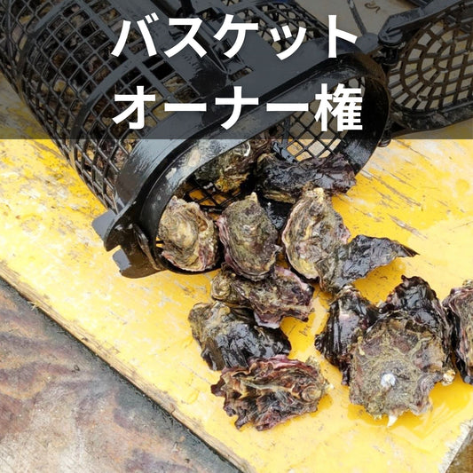 徳島県鳴門市 渦潮チャンピオン 牡蠣の養殖 バスケット所有権 牡蠣若手の会