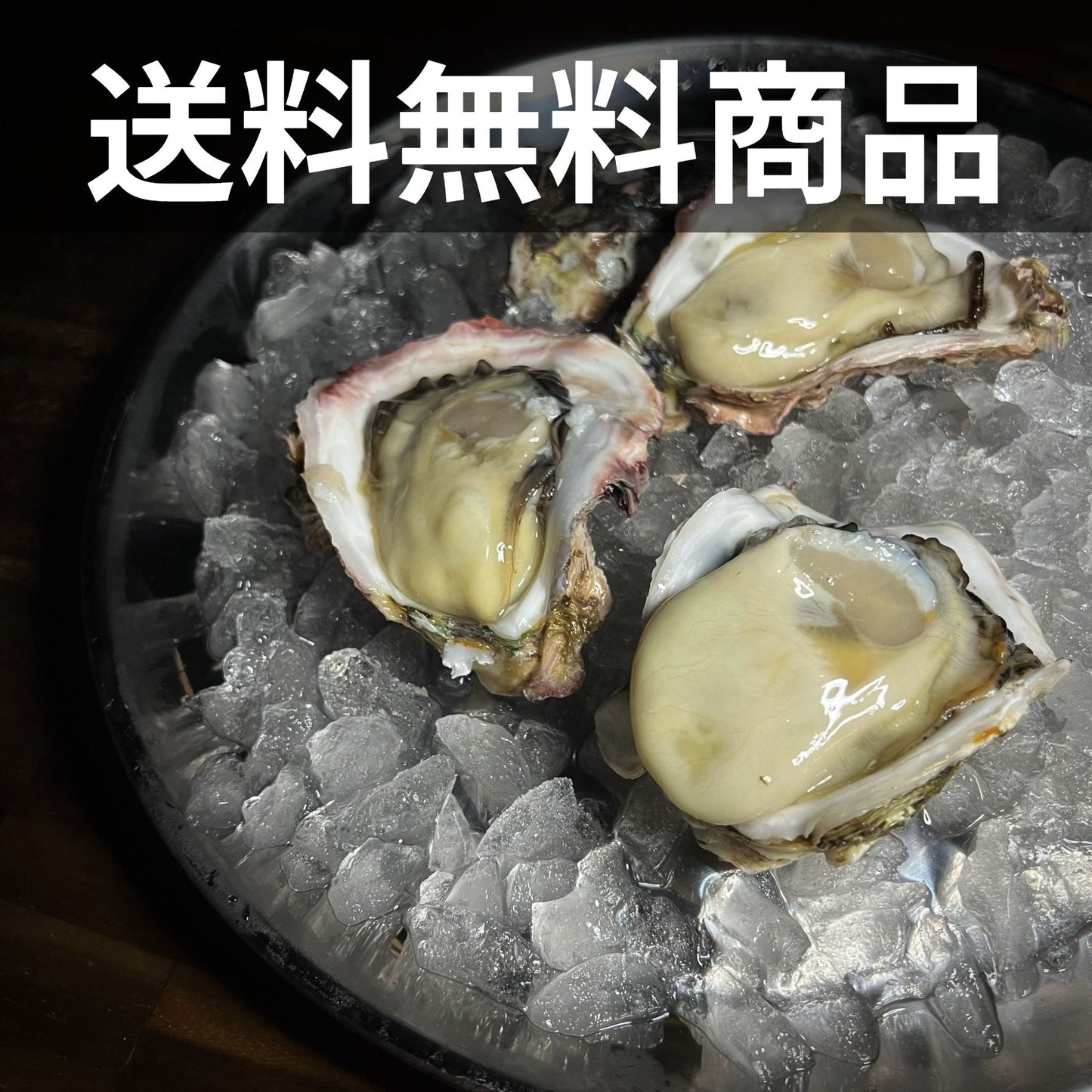 徳島県鳴門市 産地直送 ブランド岩牡蠣 渦潮王子 Oyster Professional