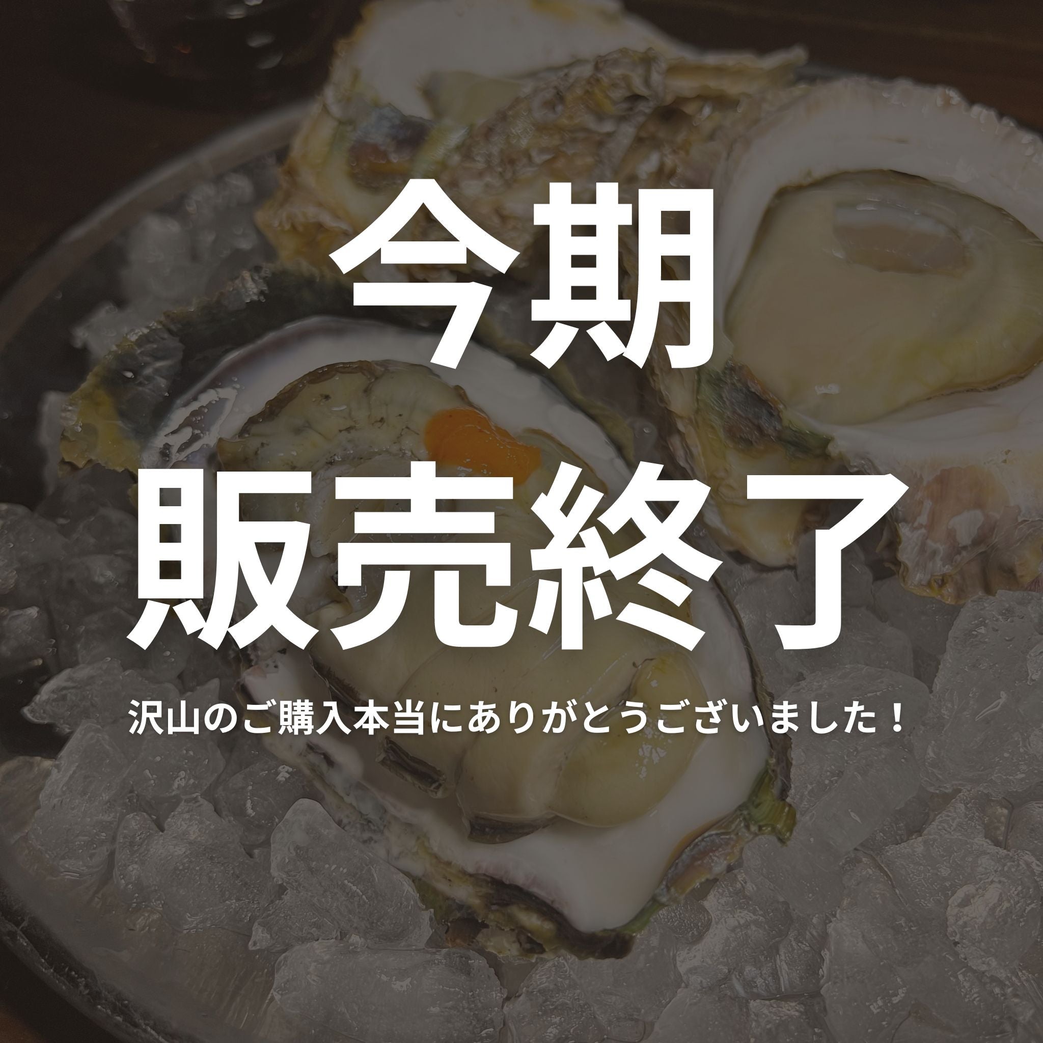 産地直送 鹿児島県ブランド牡蠣 錦盛丸 生牡蠣 生食用 殻付き