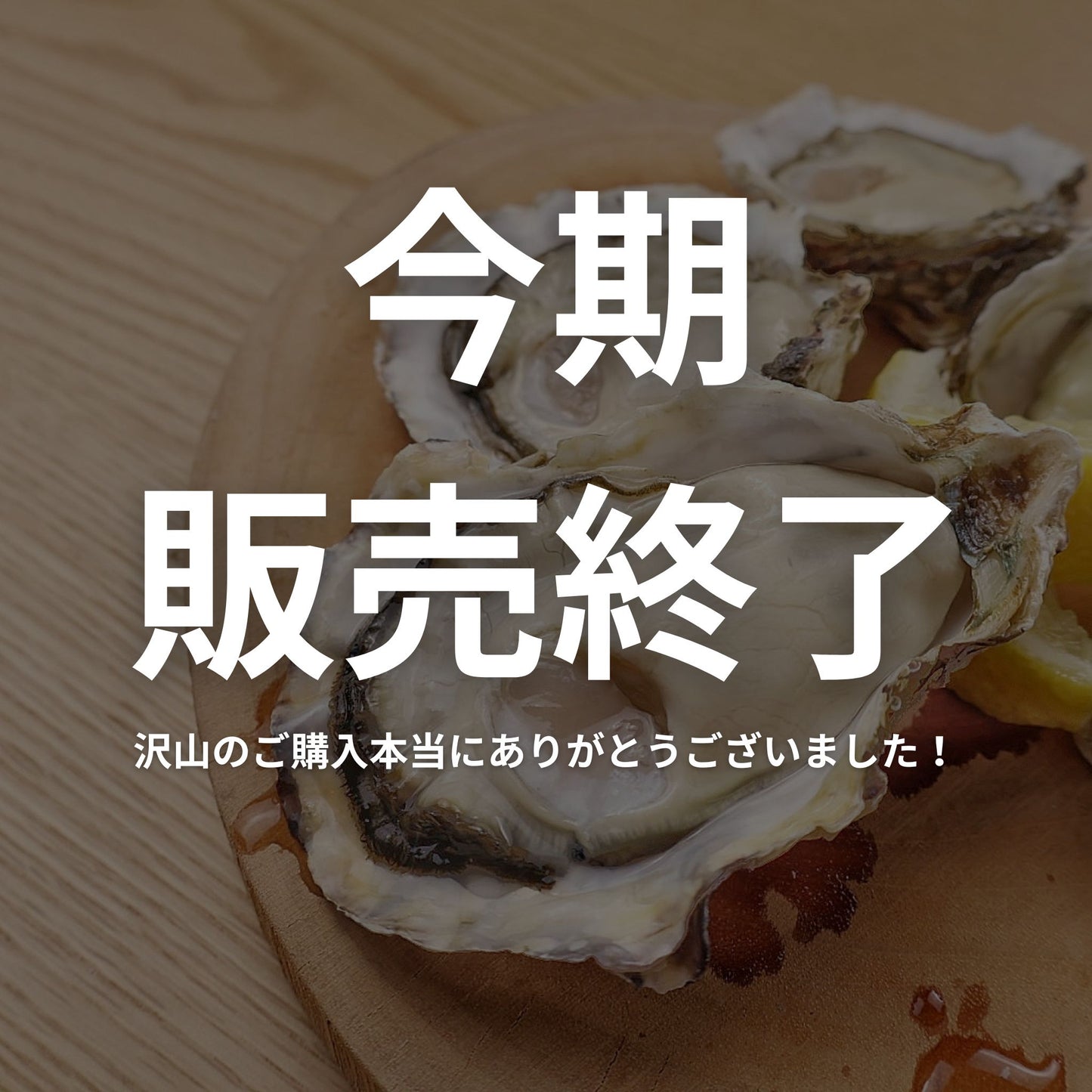 カキハウスマルハチ 糸島直送 糸島牡蠣 牡蠣若手の会