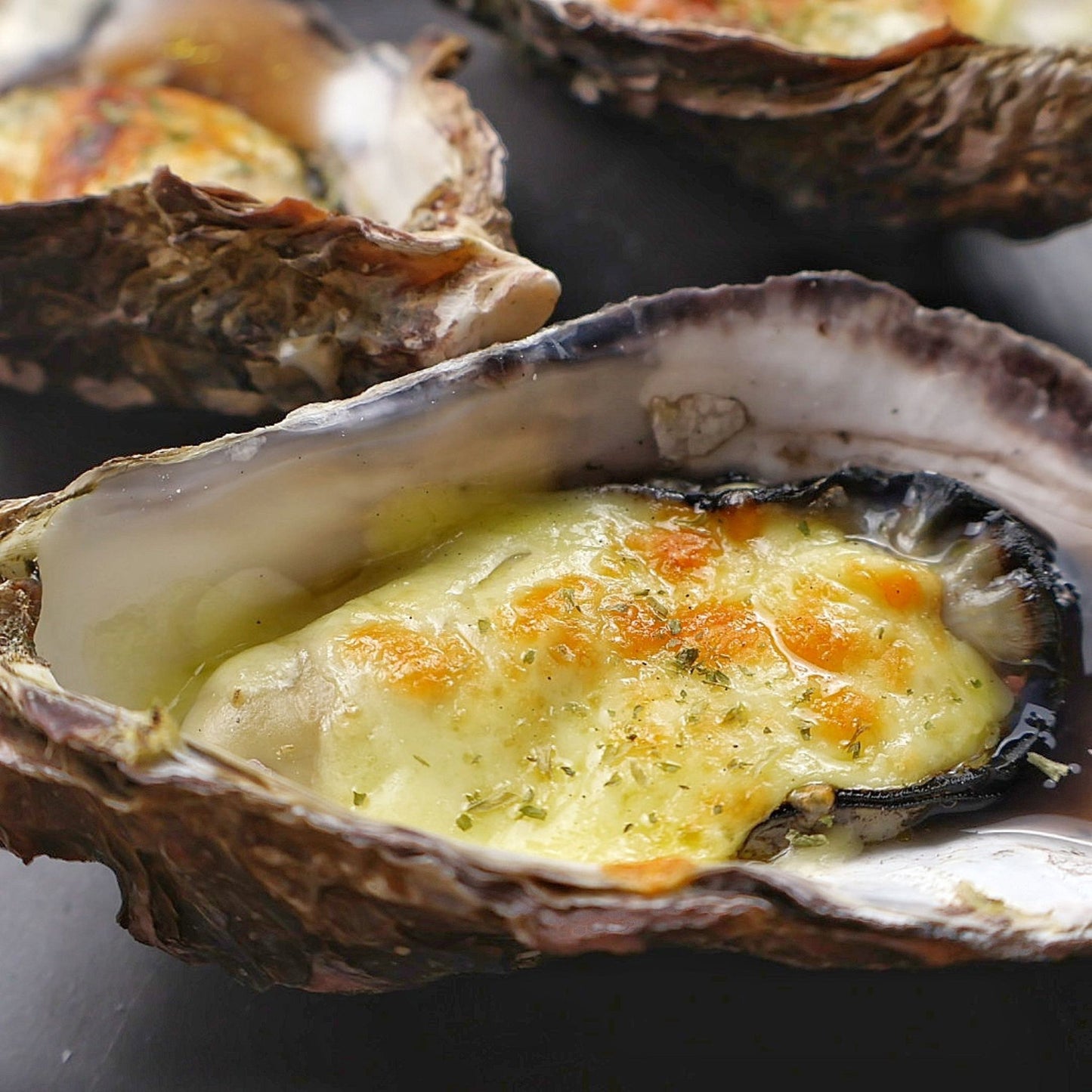 徳島県鳴門市 渦潮チャンピオン Oyster Professional 牡蠣若手の会