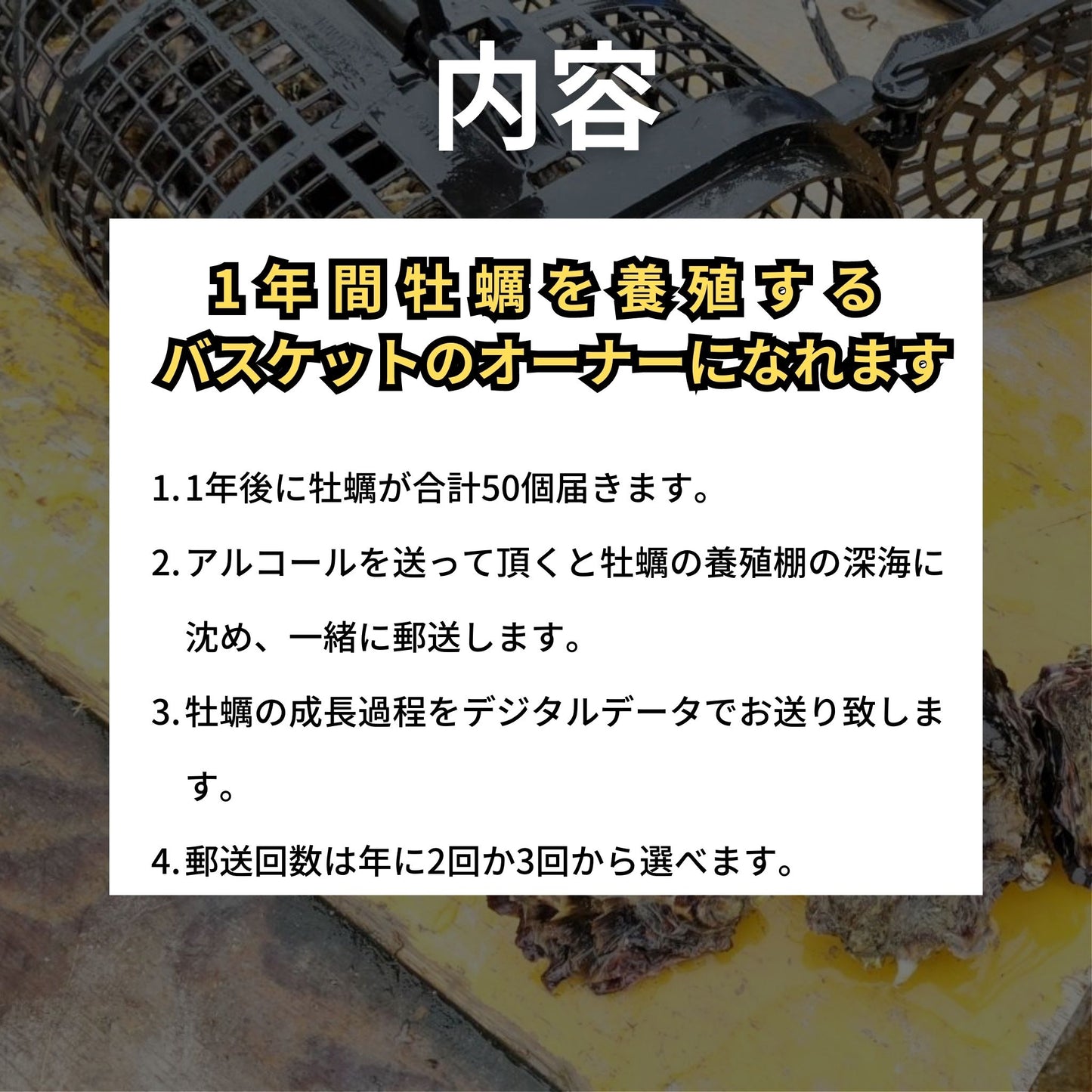徳島県鳴門市 渦潮チャンピオン 牡蠣の養殖 バスケット所有権 牡蠣若手の会