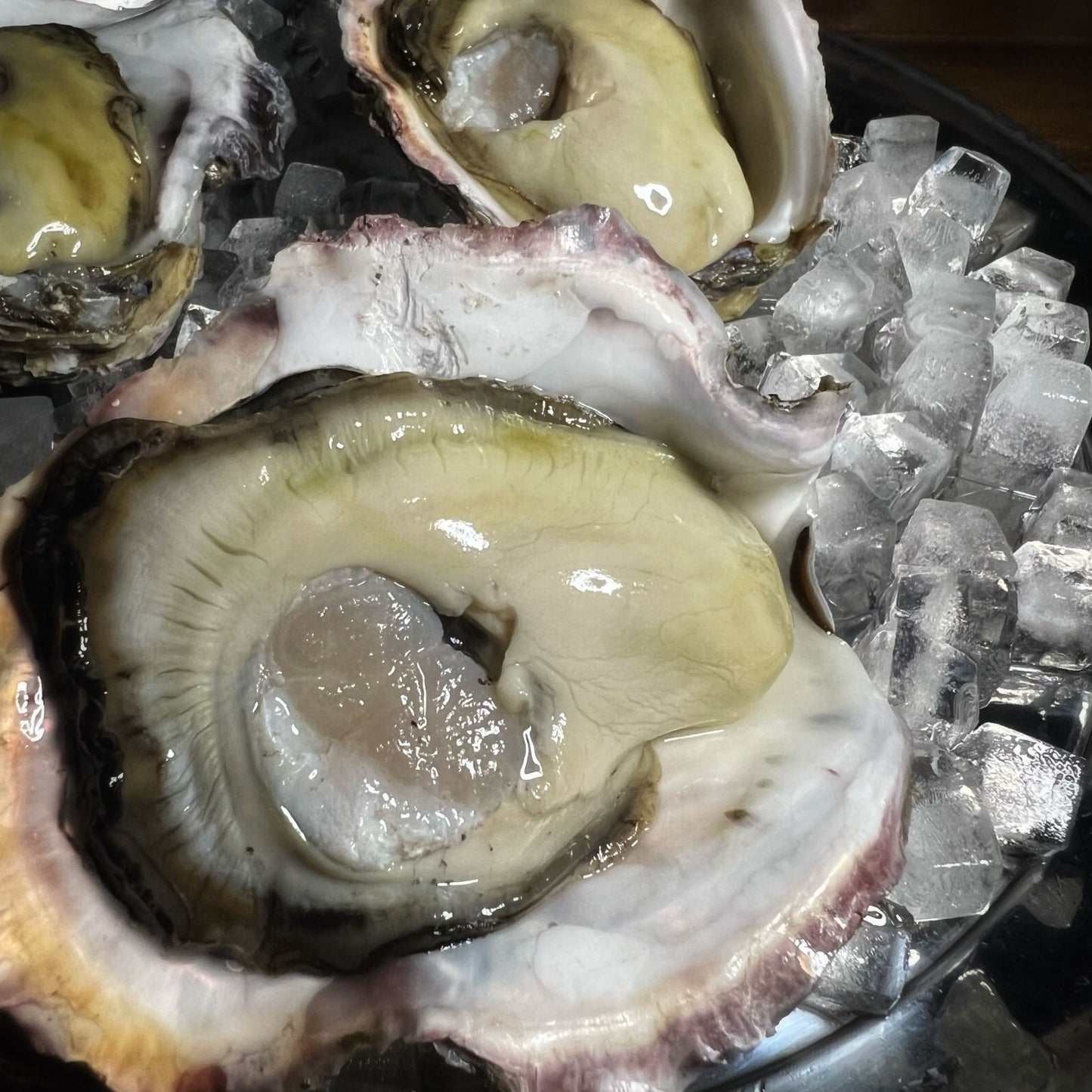産地直送 徳島県鳴門市ブランド牡蠣 渦潮チャンピオン 生牡蠣 生食用 殻付き