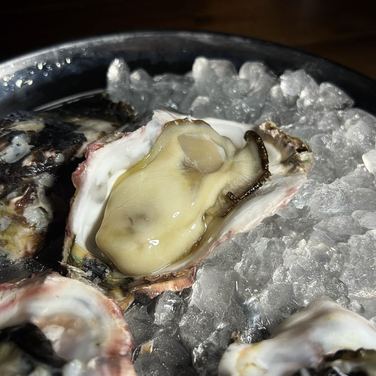 徳島県鳴門市 産地直送 ブランド岩牡蠣 渦潮王子 Oyster Professional