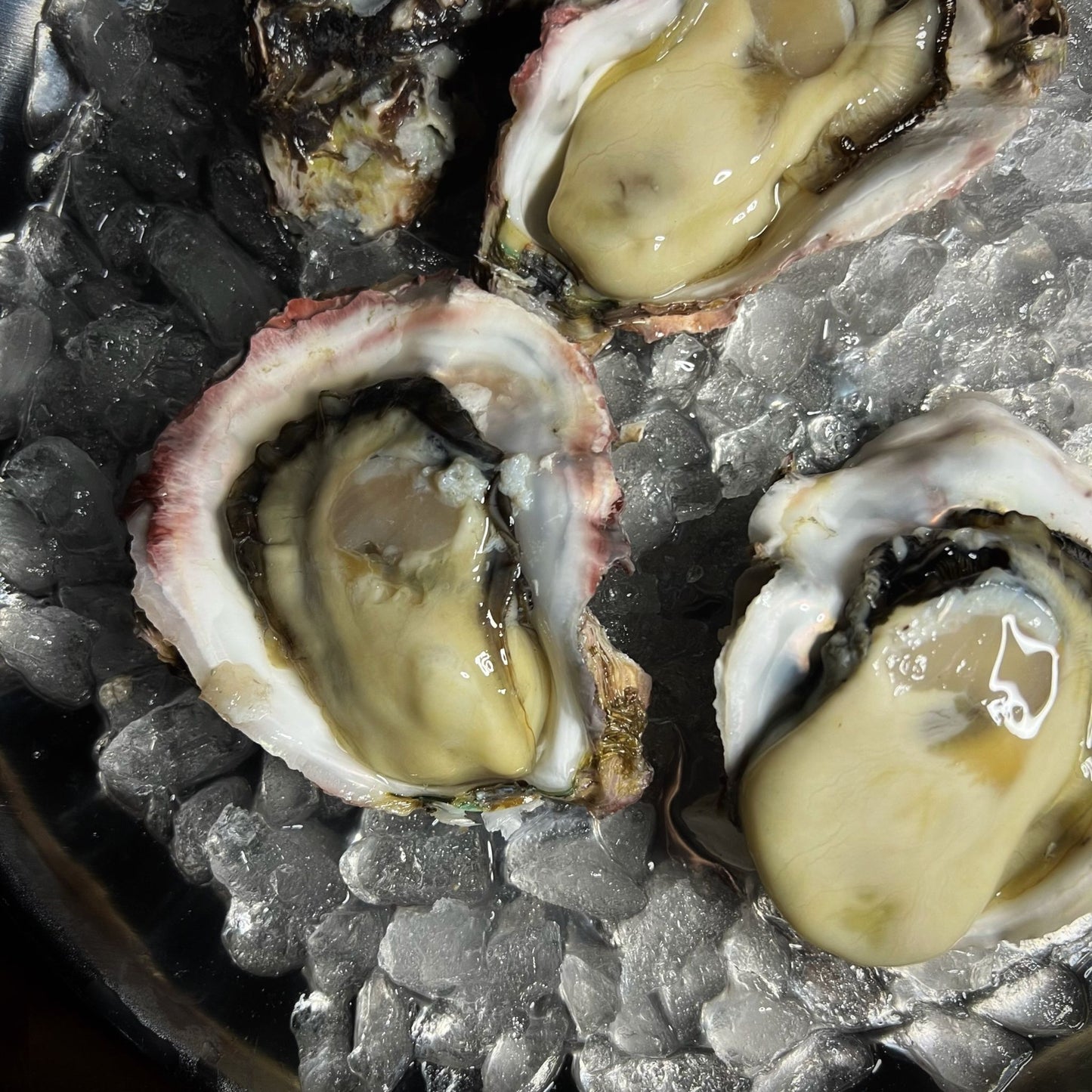 徳島県鳴門市 産地直送 ブランド岩牡蠣 渦潮王子 Oyster Professional