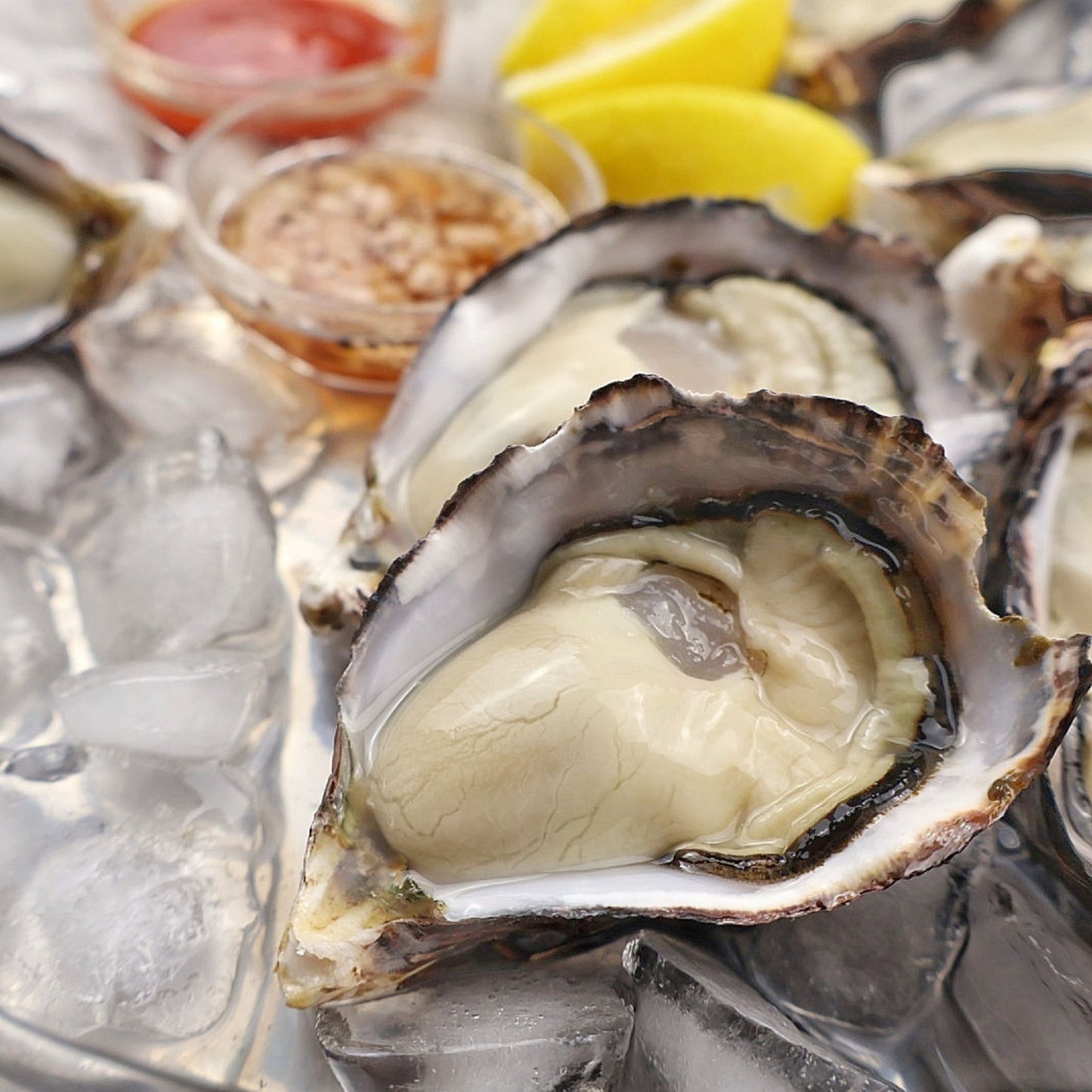 Huge response! "Hamidori" brand oysters, delicious even in summer, delivered directly from Aioi City, Hyogo Prefecture (raw oysters with shells, can be eaten raw)