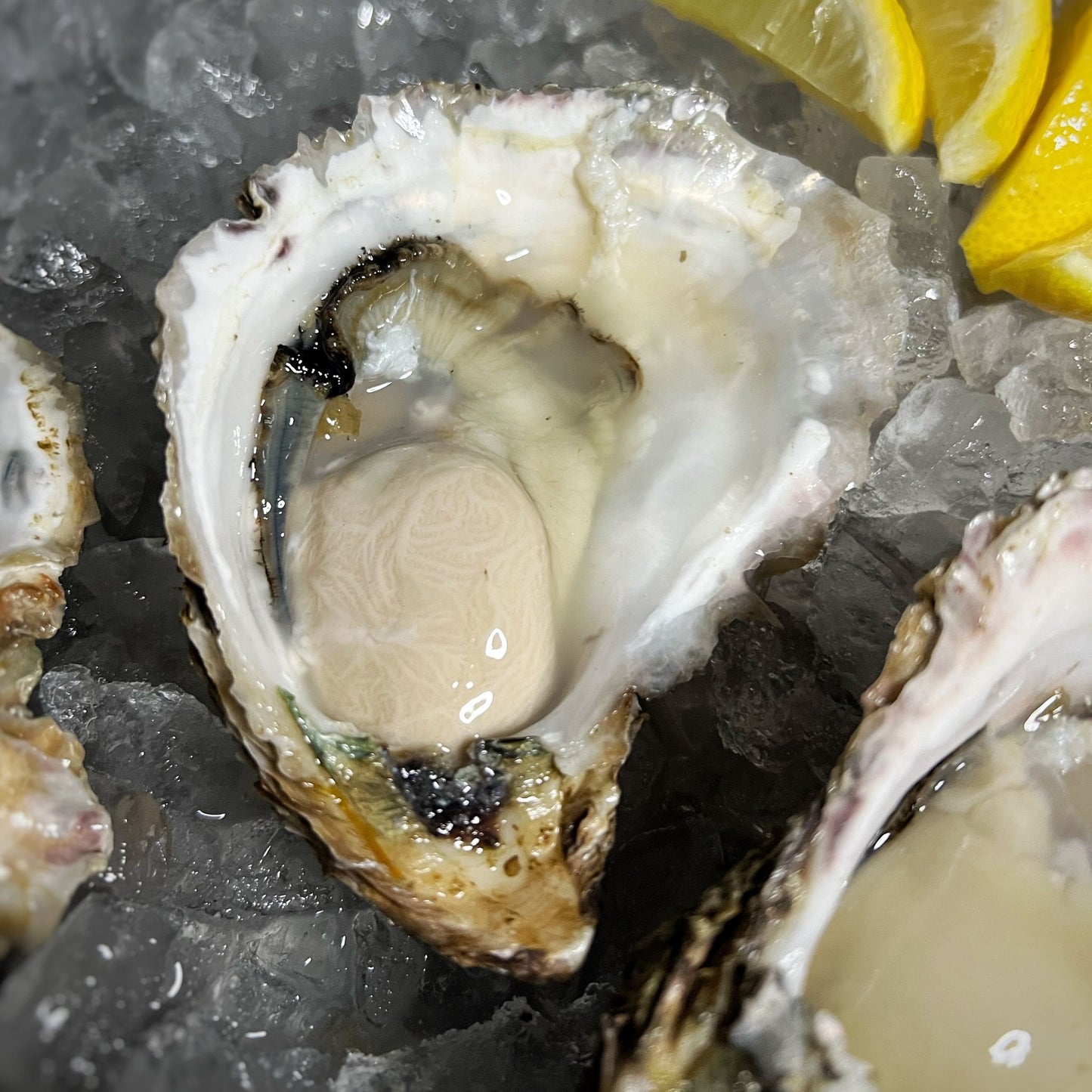 産地直送 福岡県糸島市ブランド牡蠣 彩 生牡蠣 生食用 殻付き