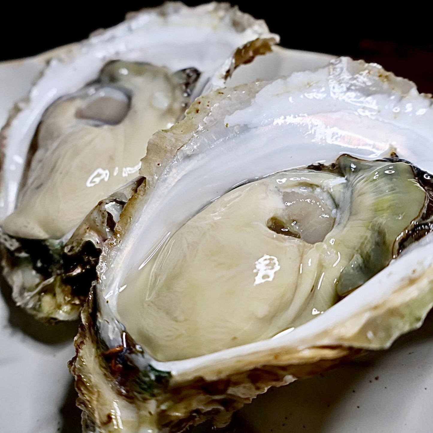 産地直送 福岡県糸島市ブランド牡蠣 彩 生牡蠣 生食用 殻付き