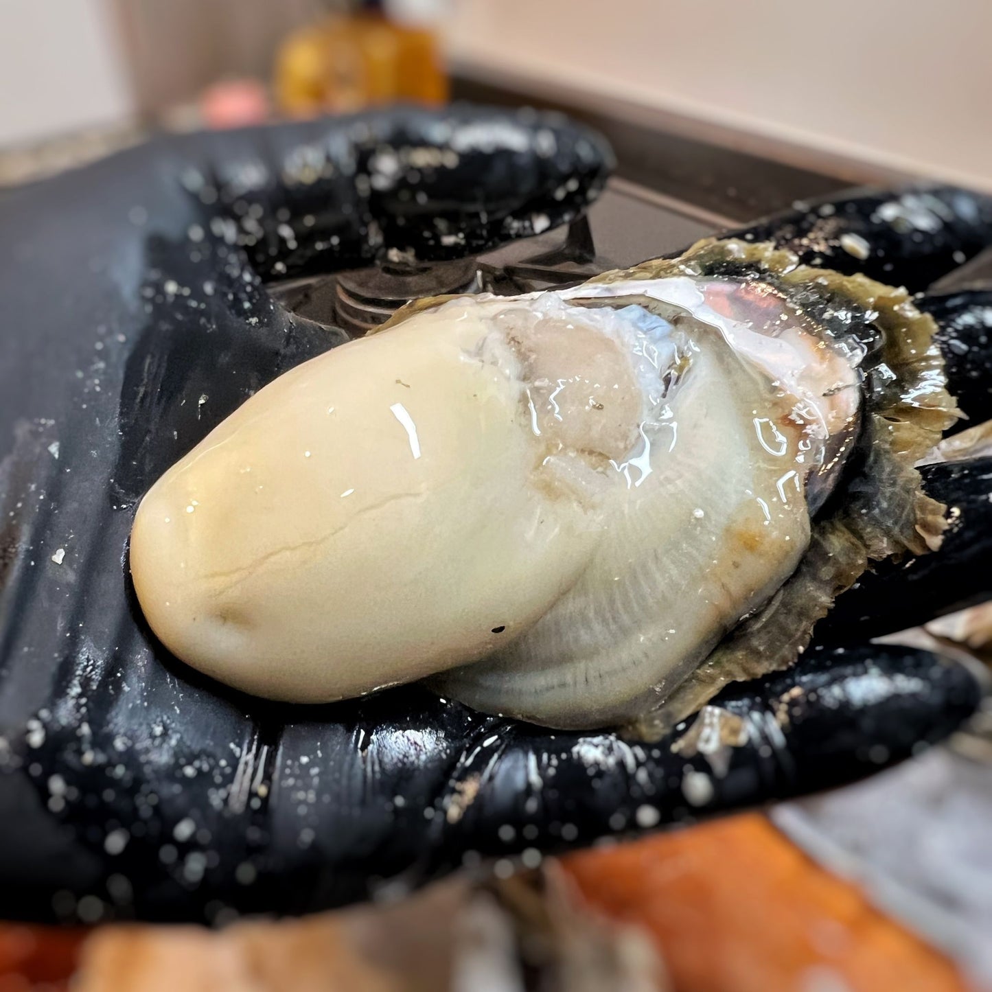 産地直送 福岡県糸島市ブランド牡蠣 彩 生牡蠣 生食用 殻付き