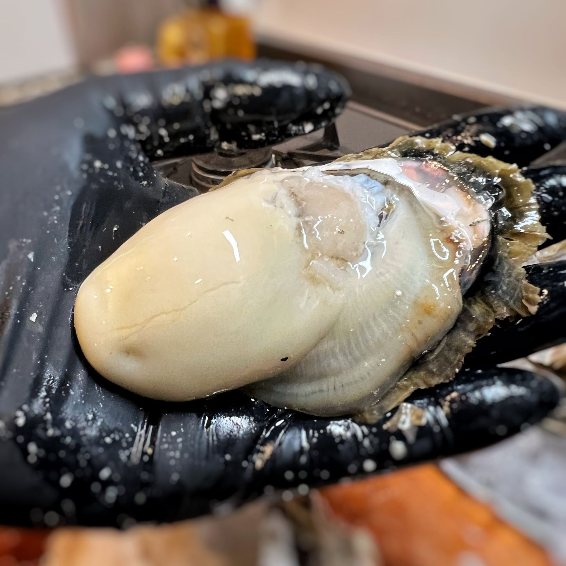 産地直送 福岡県糸島市ブランド牡蠣 彩 生牡蠣 生食用 殻付き