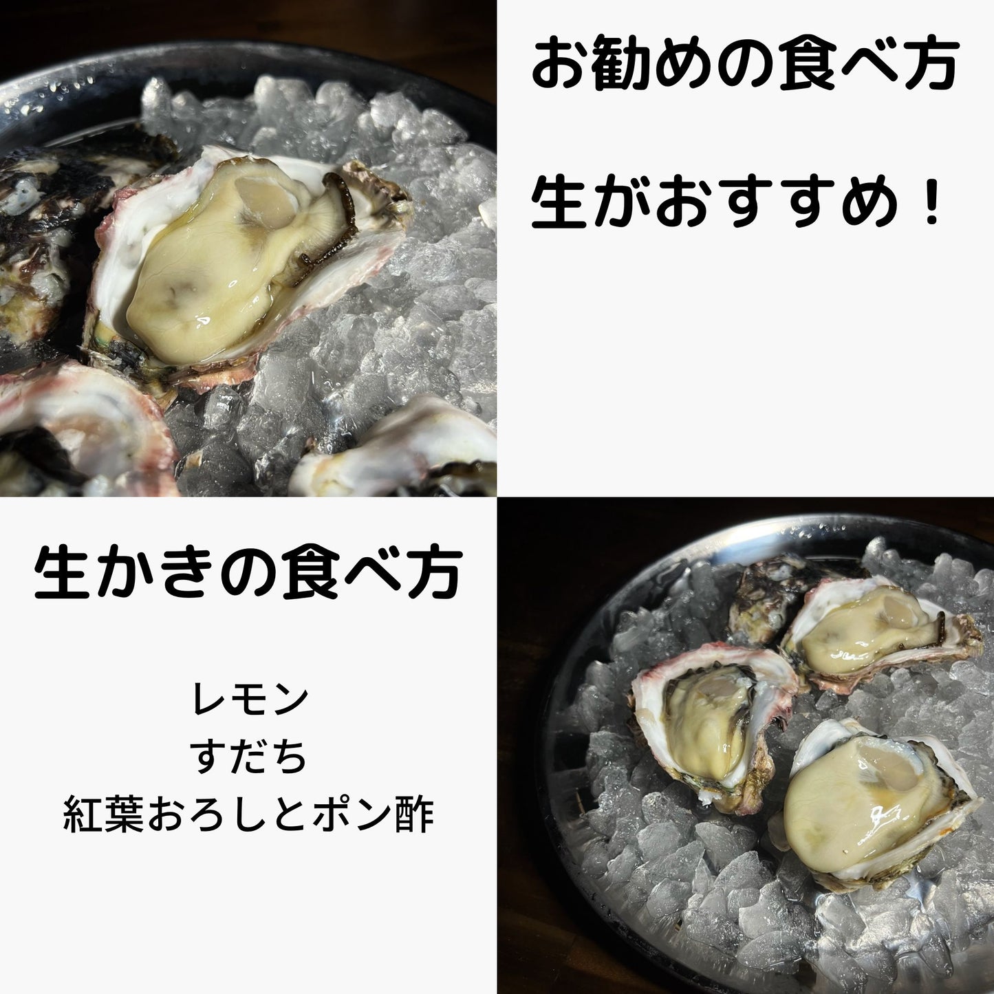 徳島県鳴門市 産地直送 ブランド岩牡蠣 渦潮王子 Oyster Professional