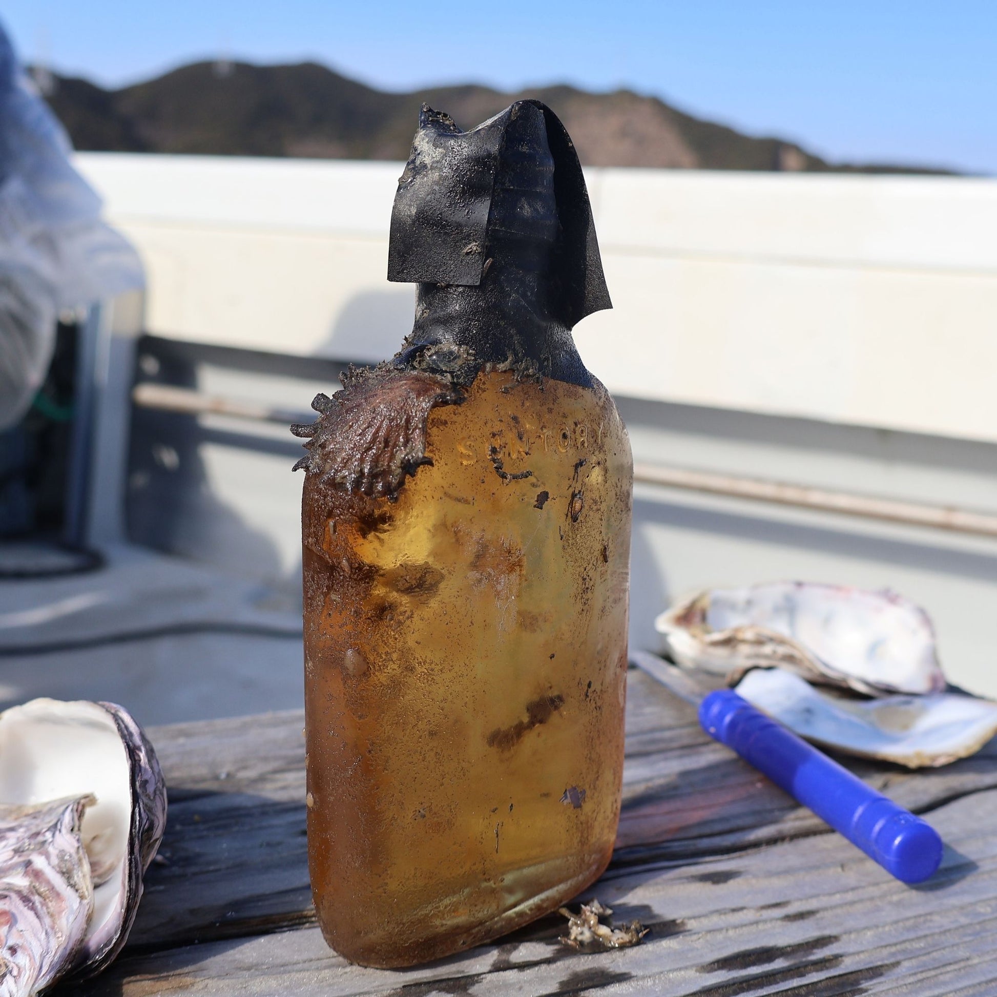 海底ボトルキープ制度 海底熟成 徳島県鳴門市 渦潮チャンピオン