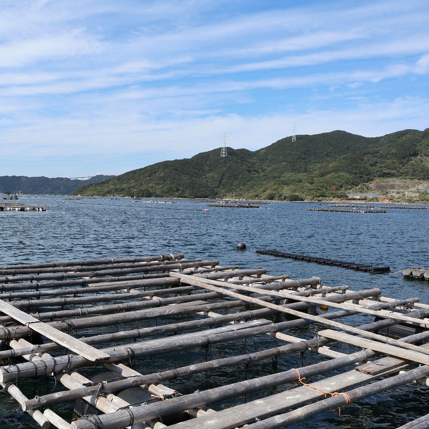 海底ボトルキープ制度 海底熟成 徳島県鳴門市 渦潮チャンピオン