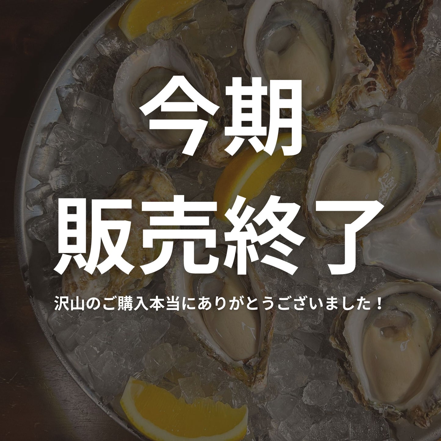 産地直送 福岡県糸島市ブランド牡蠣 彩 生牡蠣 生食用 殻付き