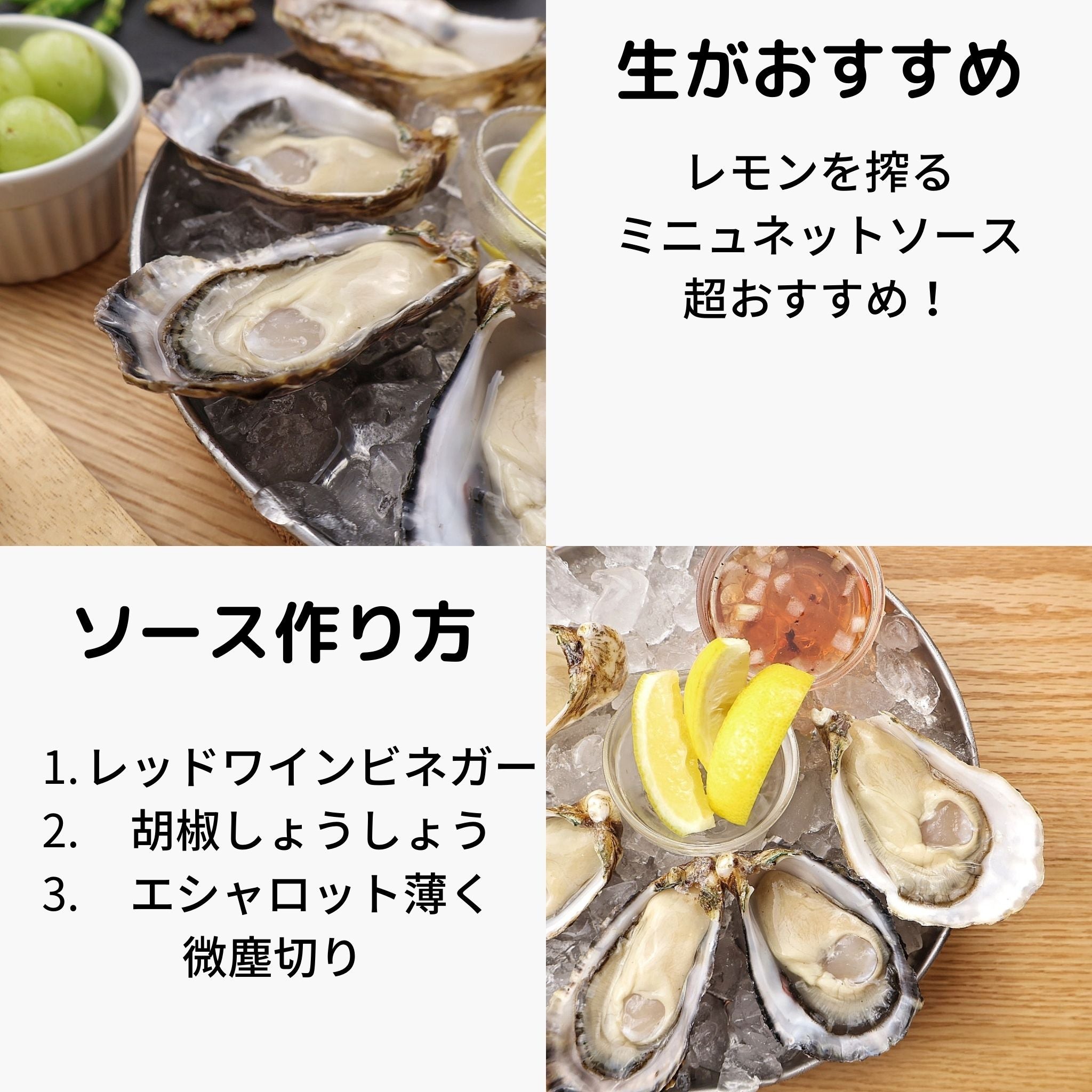 カキタベタイ オリジナル牡蠣 シングルシード 福岡県糸島市直送 牡蠣若手の会