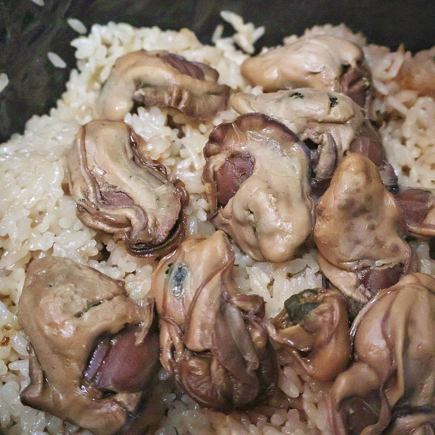 牡蠣飯の素 カキタベタイ 牡蠣若手の会