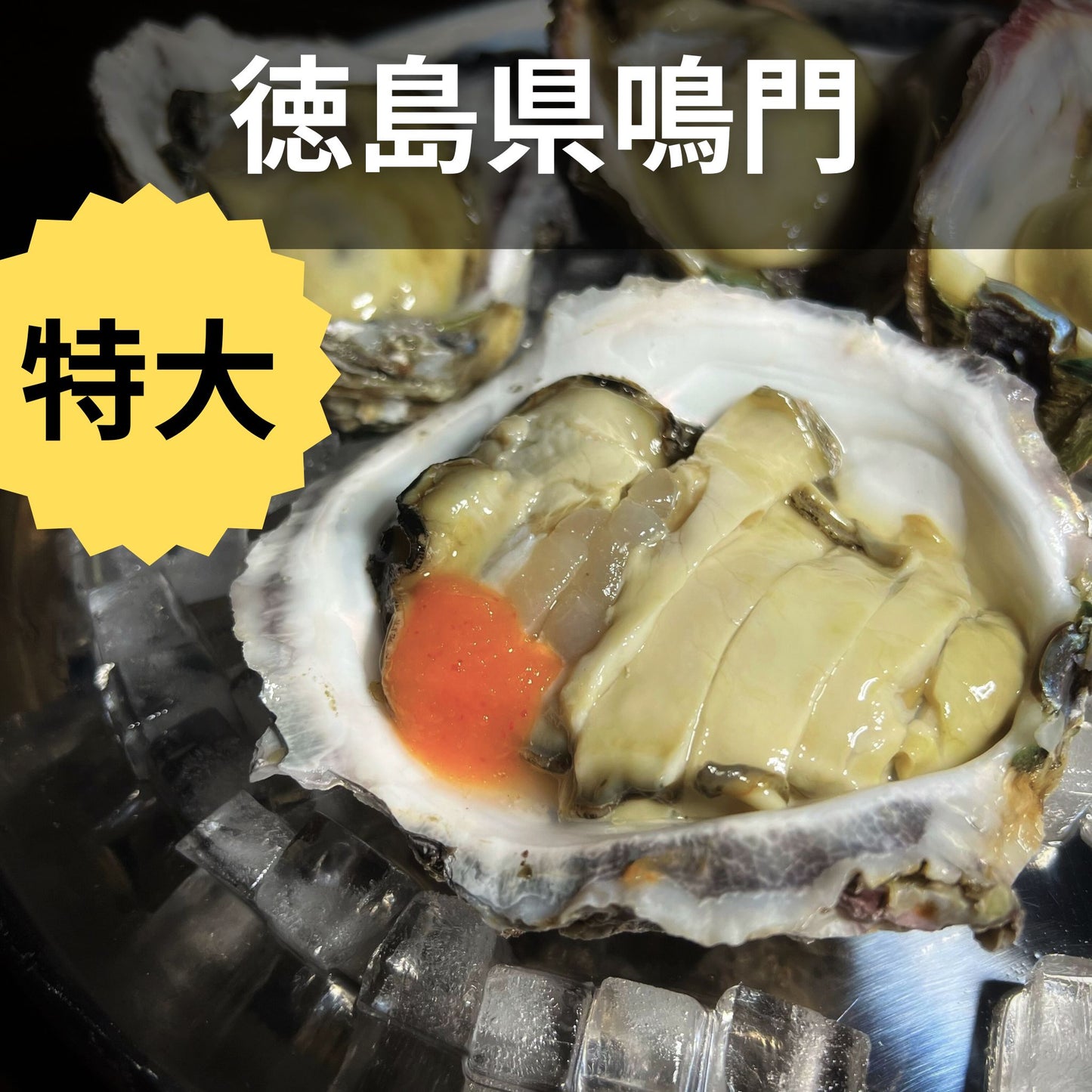 産地直送 徳島県鳴門市ブランド牡蠣 渦潮チャンピオン 生牡蠣 生食用 殻付き