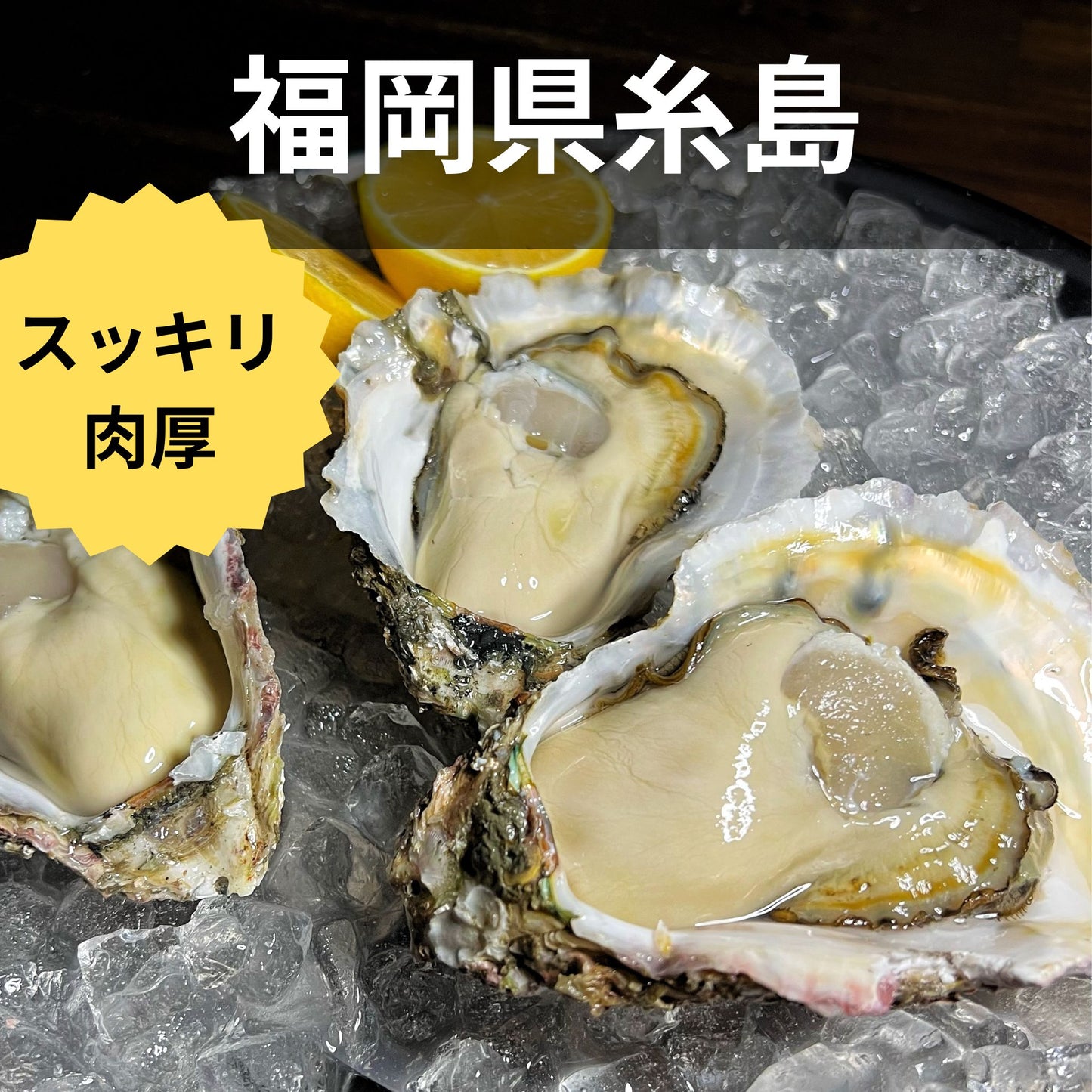 産地直送 福岡県糸島市ブランド牡蠣 彩 生牡蠣 生食用 殻付き 牡蠣の王国