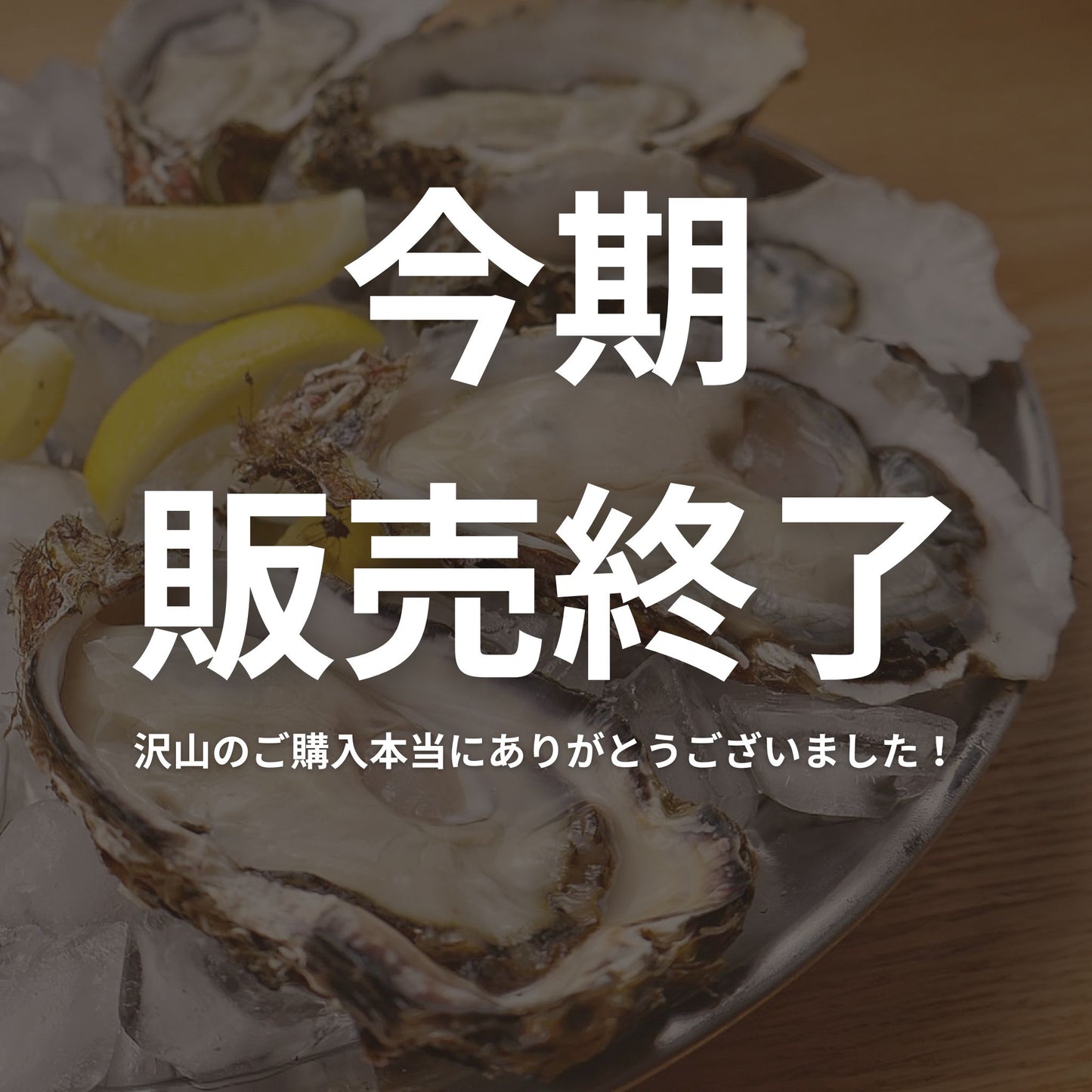 北海道湧別町サロマ湖直送 牡蠣若手の会 湖白牡蠣 カキタベタイ