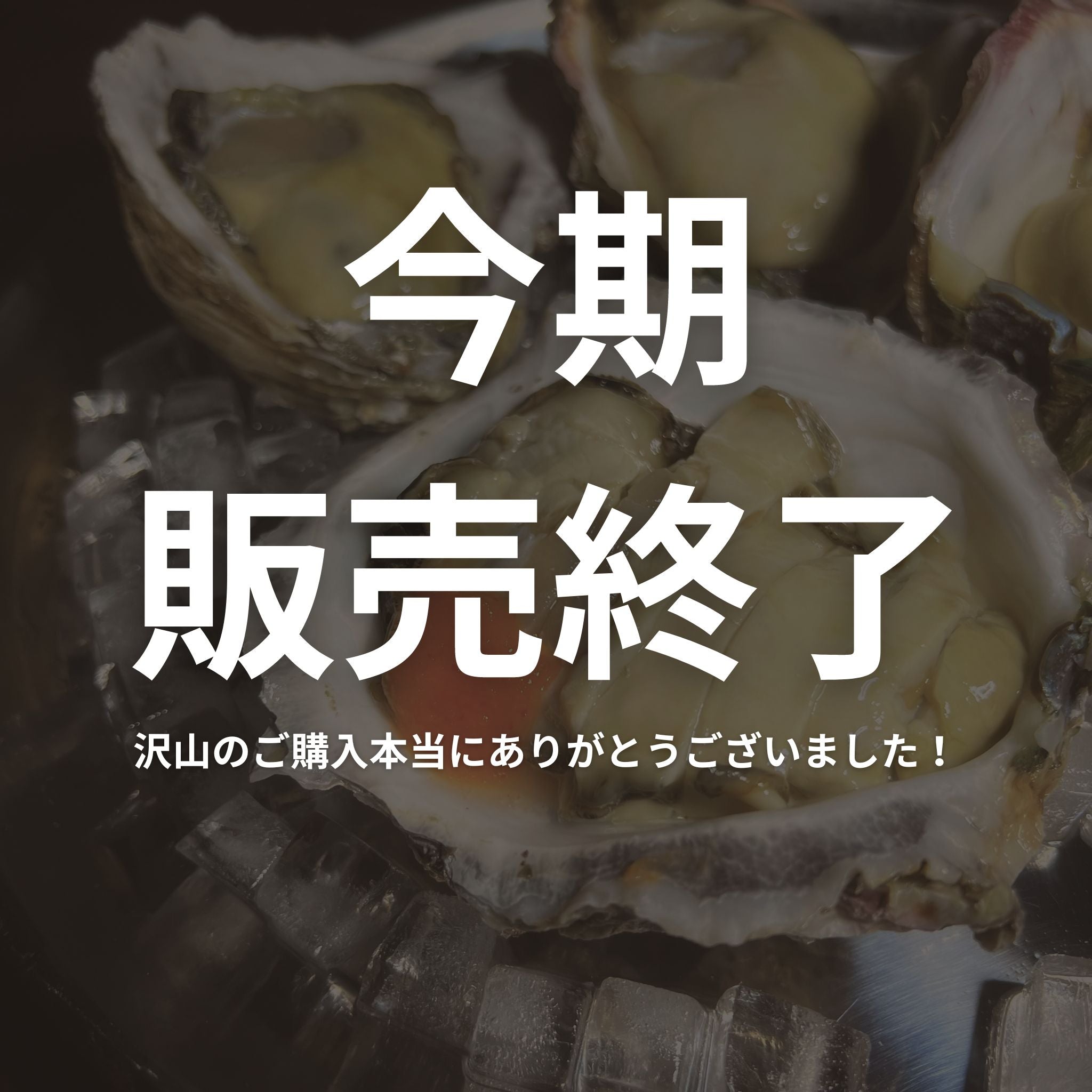産地直送 徳島県鳴門市ブランド牡蠣 渦潮チャンピオン 生牡蠣 生食用 殻付き