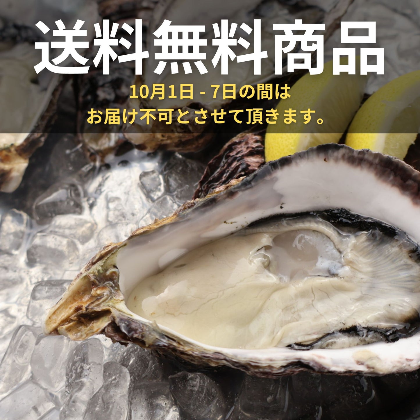 徳島県鳴門市 渦潮チャンピオン Oyster Professional 牡蠣若手の会