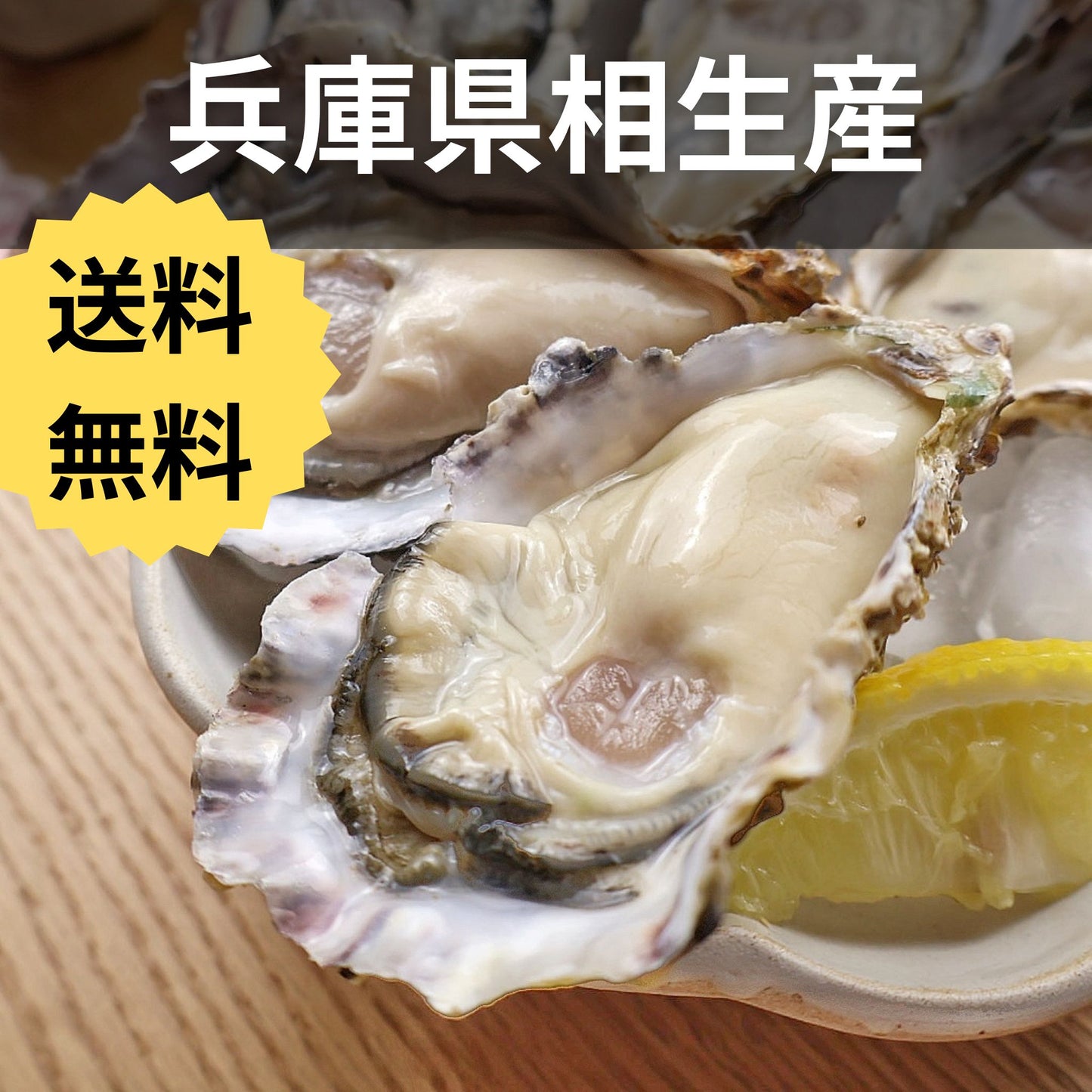 兵庫県相生産 舛本水産 生牡蠣 むき身 牡蠣若手の会