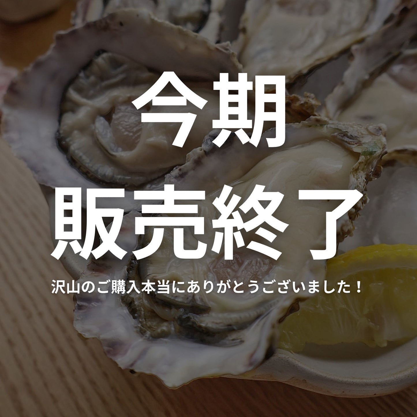 【4月20日が最終お届け可能日】今がベストシーズン!兵庫県相生市直送 カキタベタイにも使用している相生牡蠣殻付き(生食可)