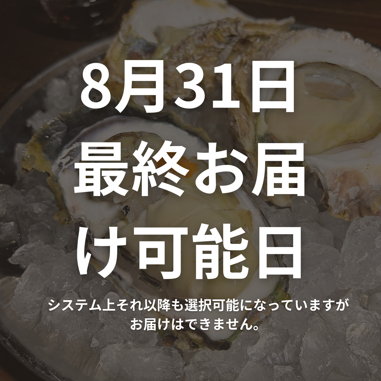 鹿児島県直送 錦盛丸超クリーミー岩牡蠣 (生食可 殻付き生牡蠣)