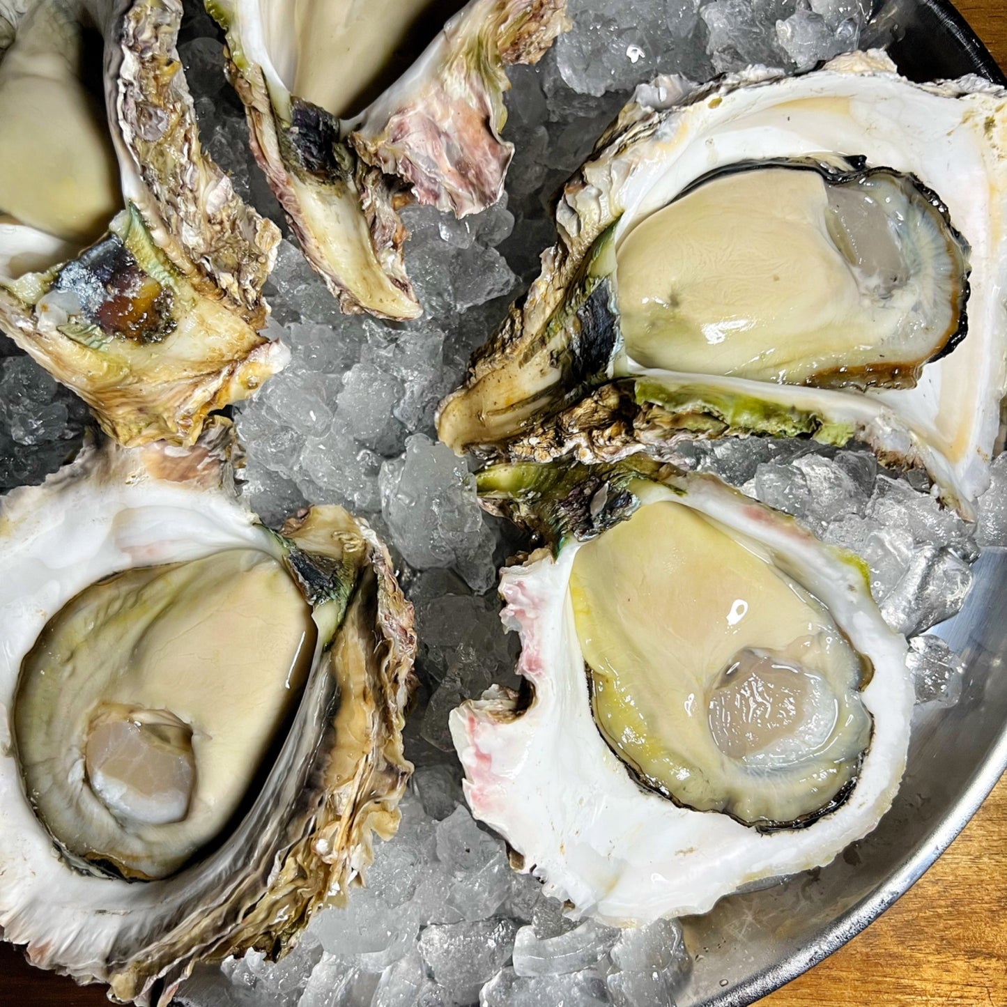 鹿児島県直送 錦盛丸超クリーミー岩牡蠣 (生食可 殻付き生牡蠣)