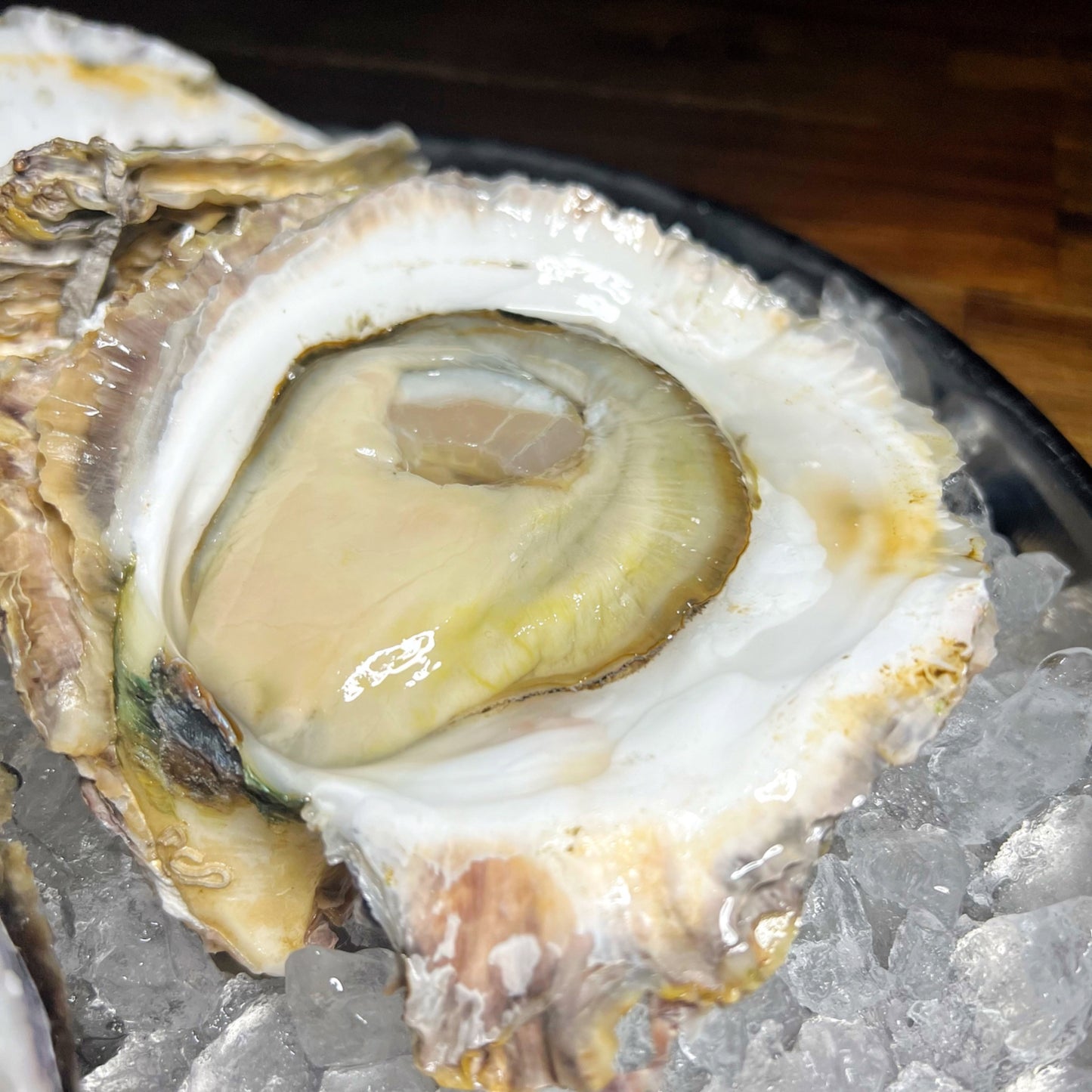 鹿児島県直送 錦盛丸超クリーミー岩牡蠣 (生食可 殻付き生牡蠣)