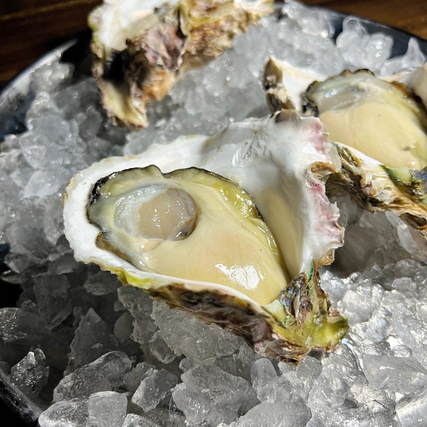 産地直送 鹿児島県ブランド牡蠣 錦盛丸 生牡蠣 生食用 殻付き