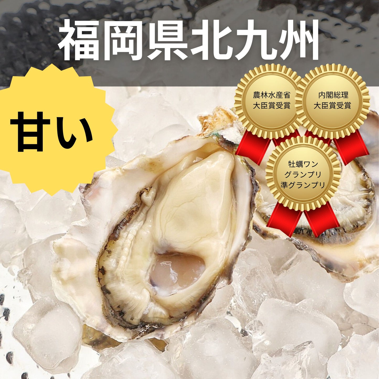 豊前海一粒かき 清水水産 福岡県北九州 牡蠣の王国