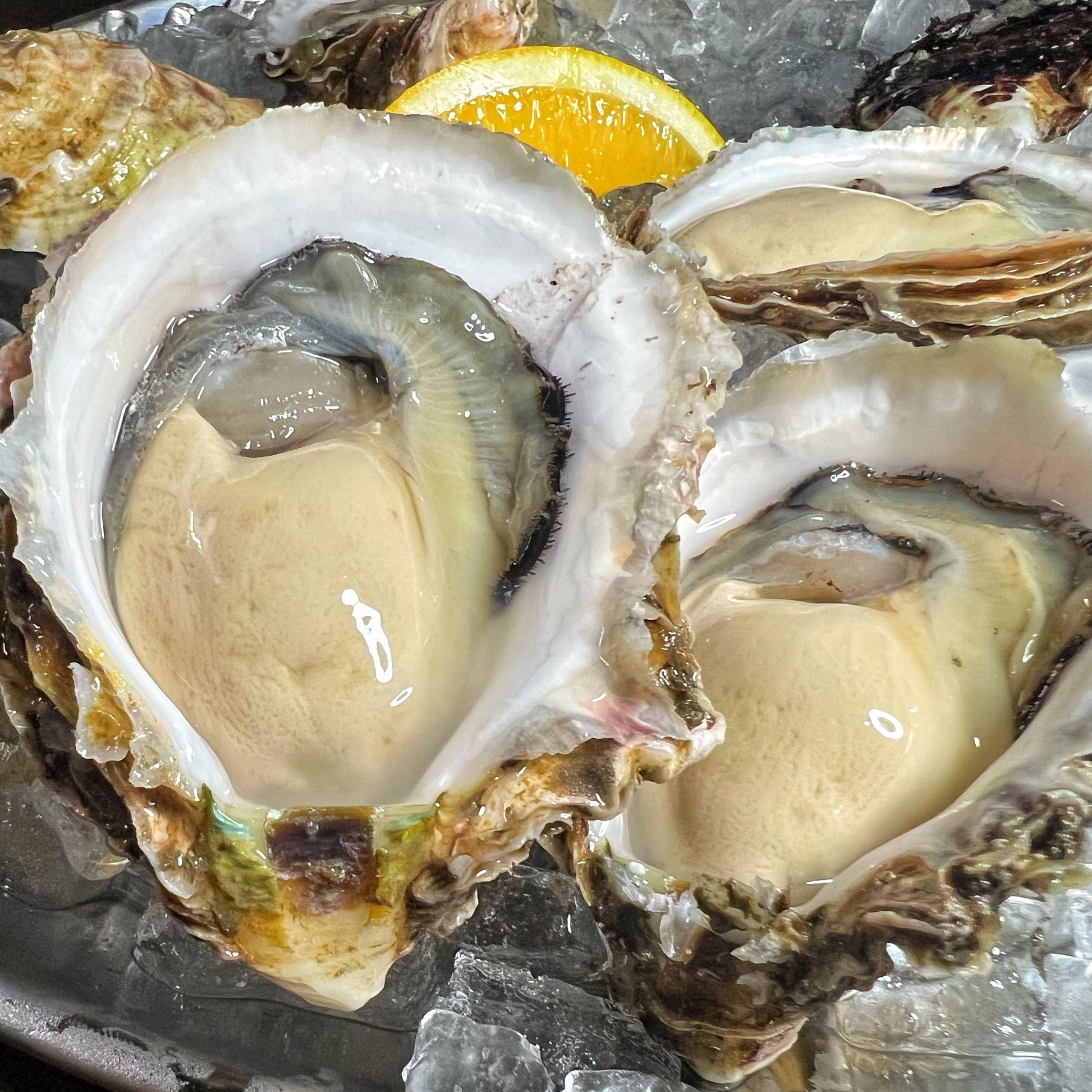 産地直送 福岡県糸島市ブランド牡蠣 彩 生牡蠣 生食用 殻付き