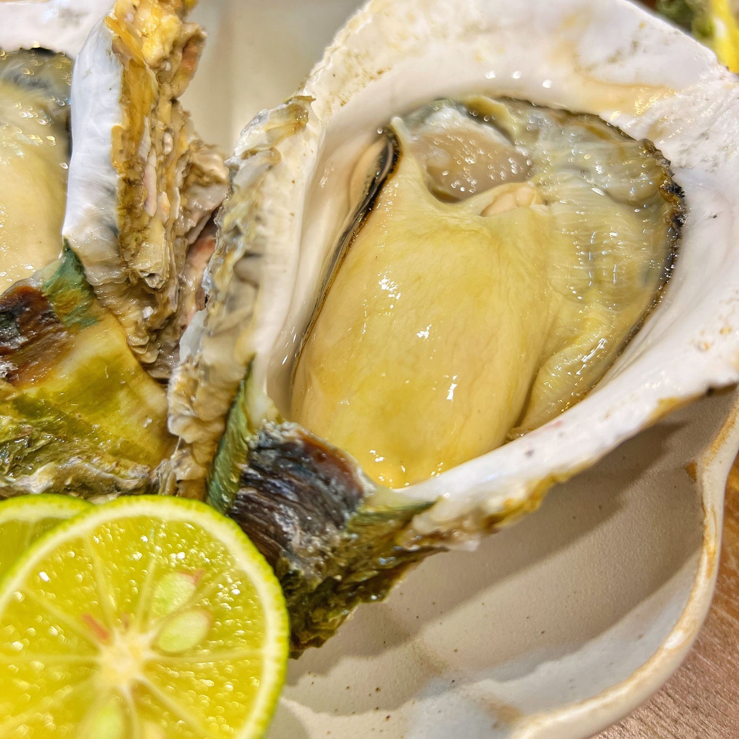 鹿児島県直送 錦盛丸超クリーミー岩牡蠣 (生食可 殻付き生牡蠣)