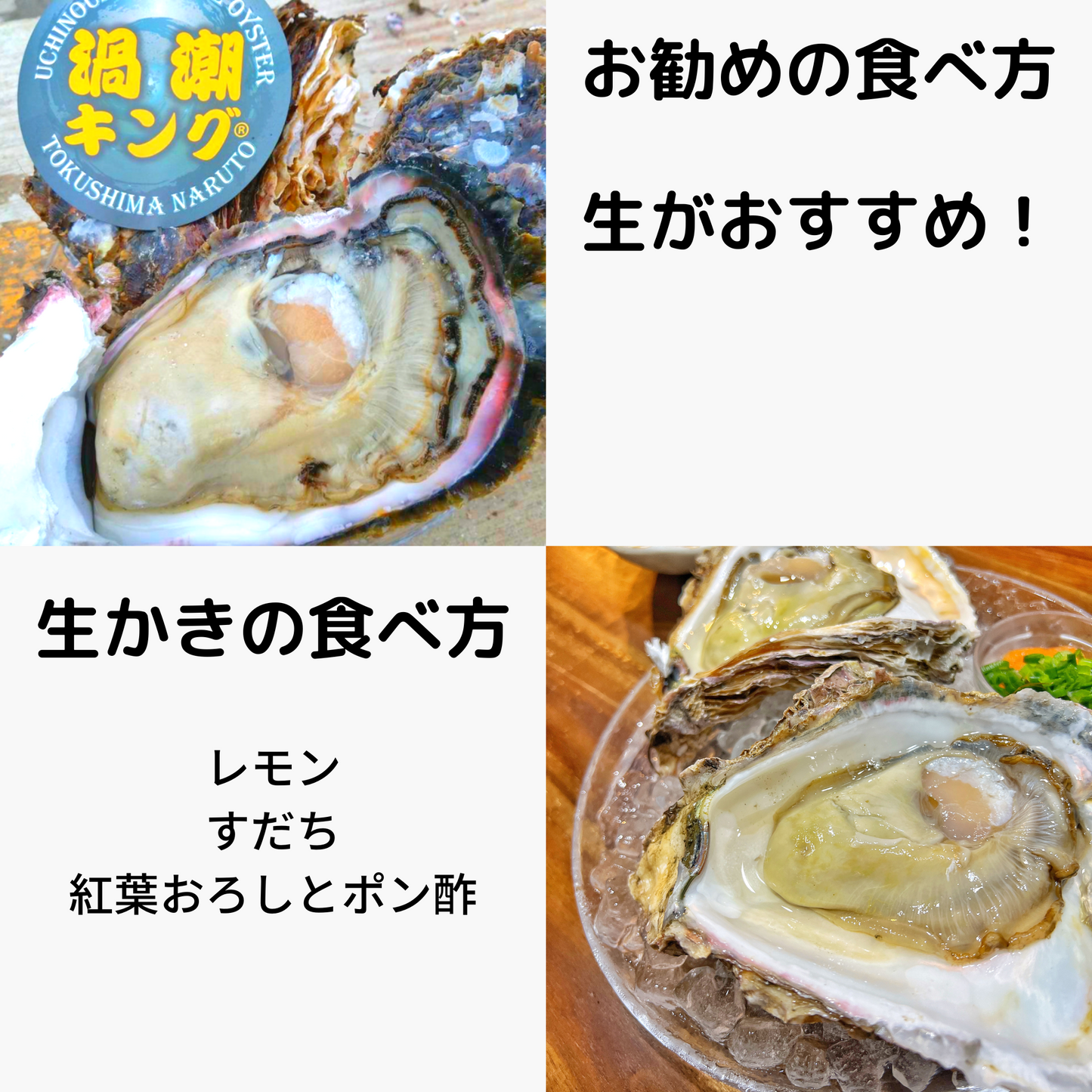 産地直送 徳島県鳴門市ブランド牡蠣 渦潮チャンピオン 生牡蠣 生食用 殻付き