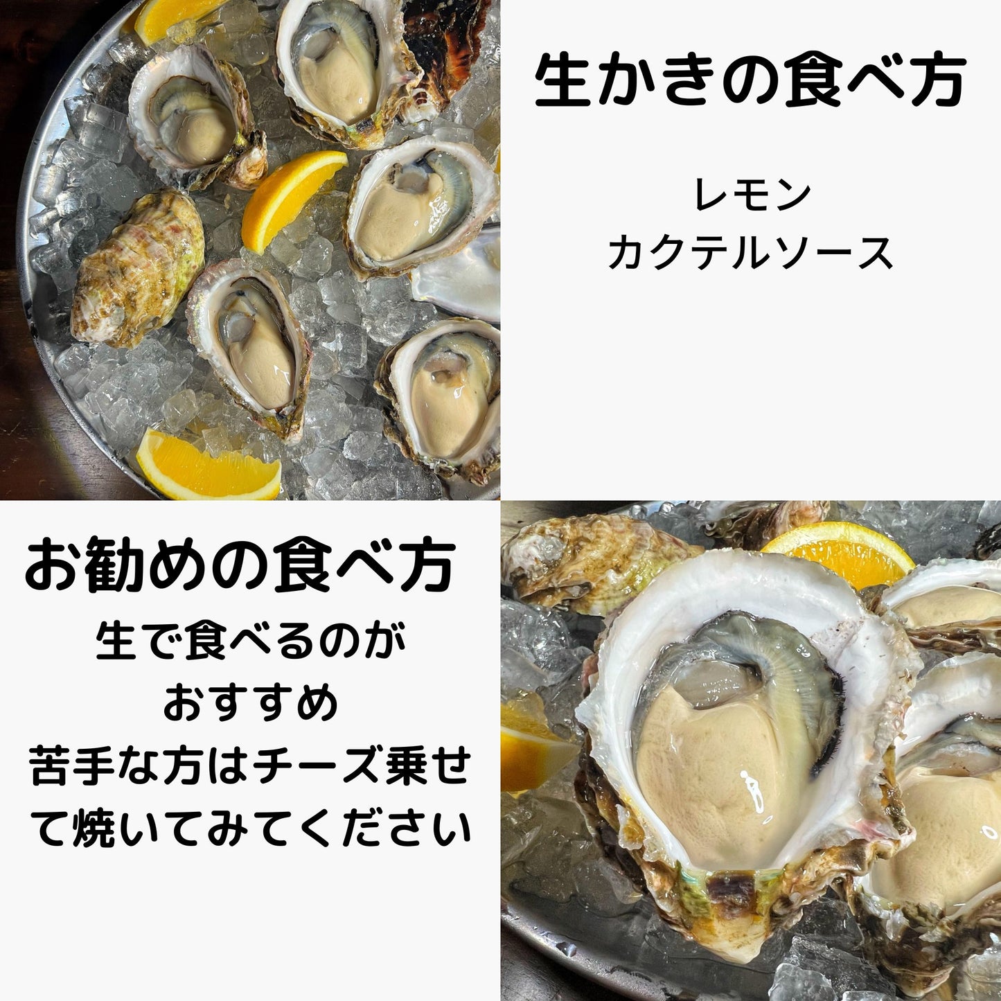 産地直送 福岡県糸島市ブランド牡蠣 彩 生牡蠣 生食用 殻付き