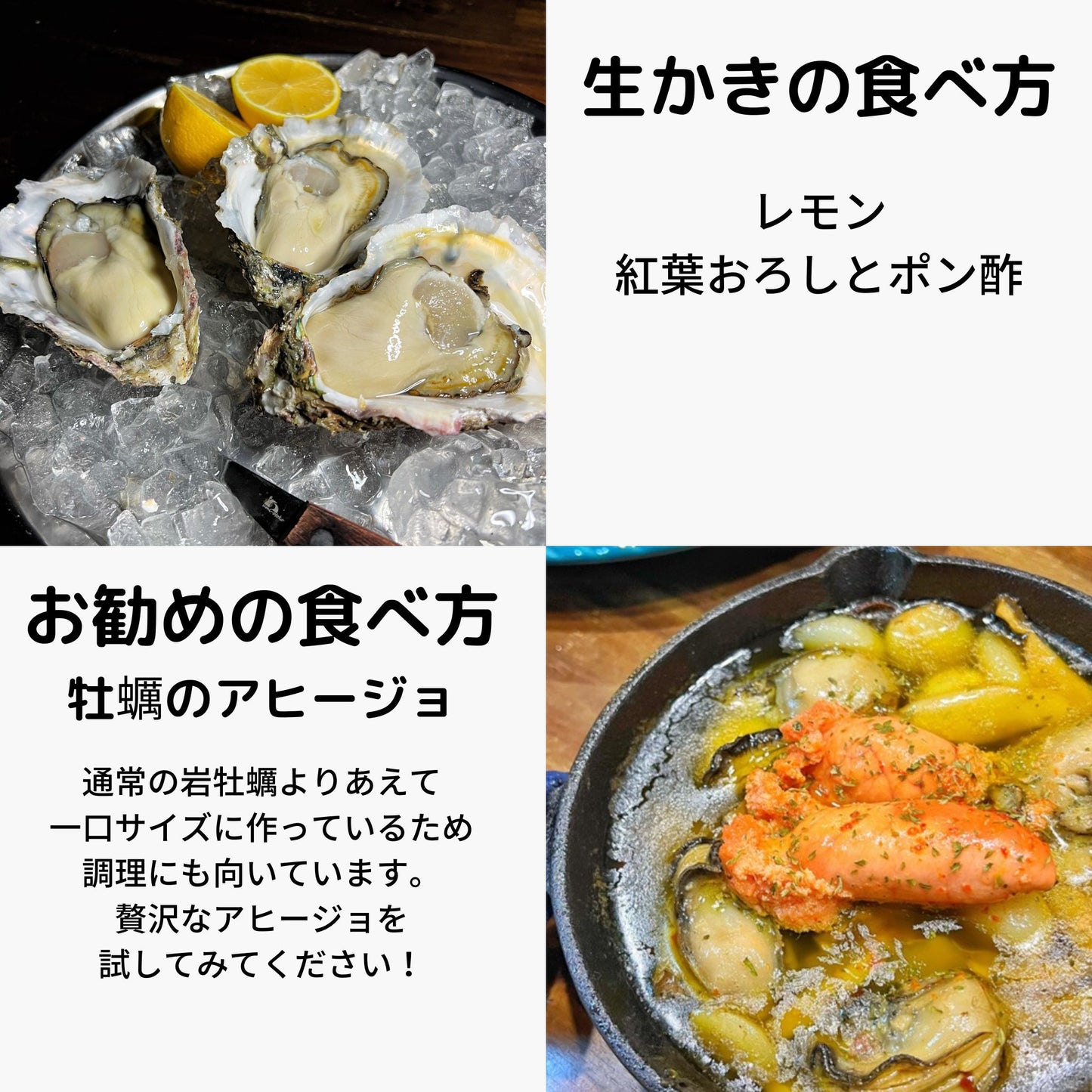 産地直送 福岡県糸島市ブランド牡蠣 彩 生牡蠣 生食用 殻付き
