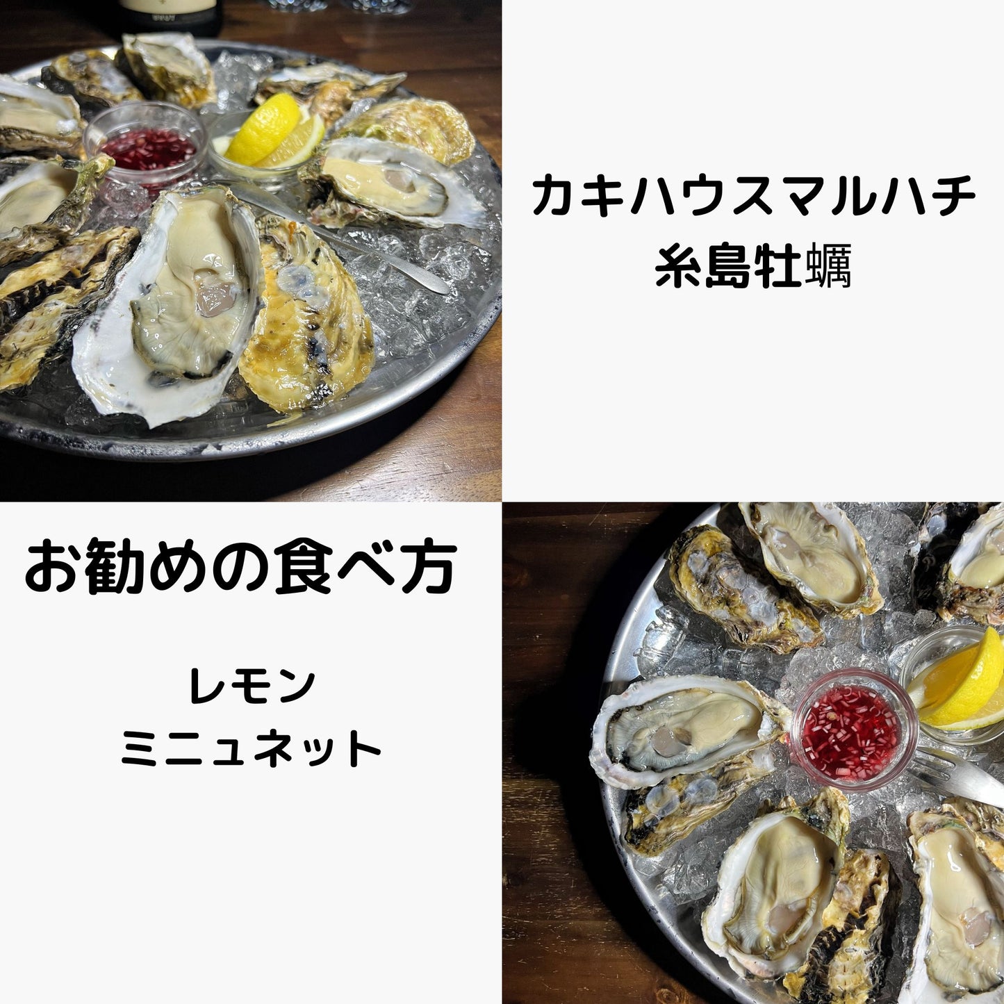 カキハウスマルハチ 糸島直送 糸島牡蠣 牡蠣若手の会