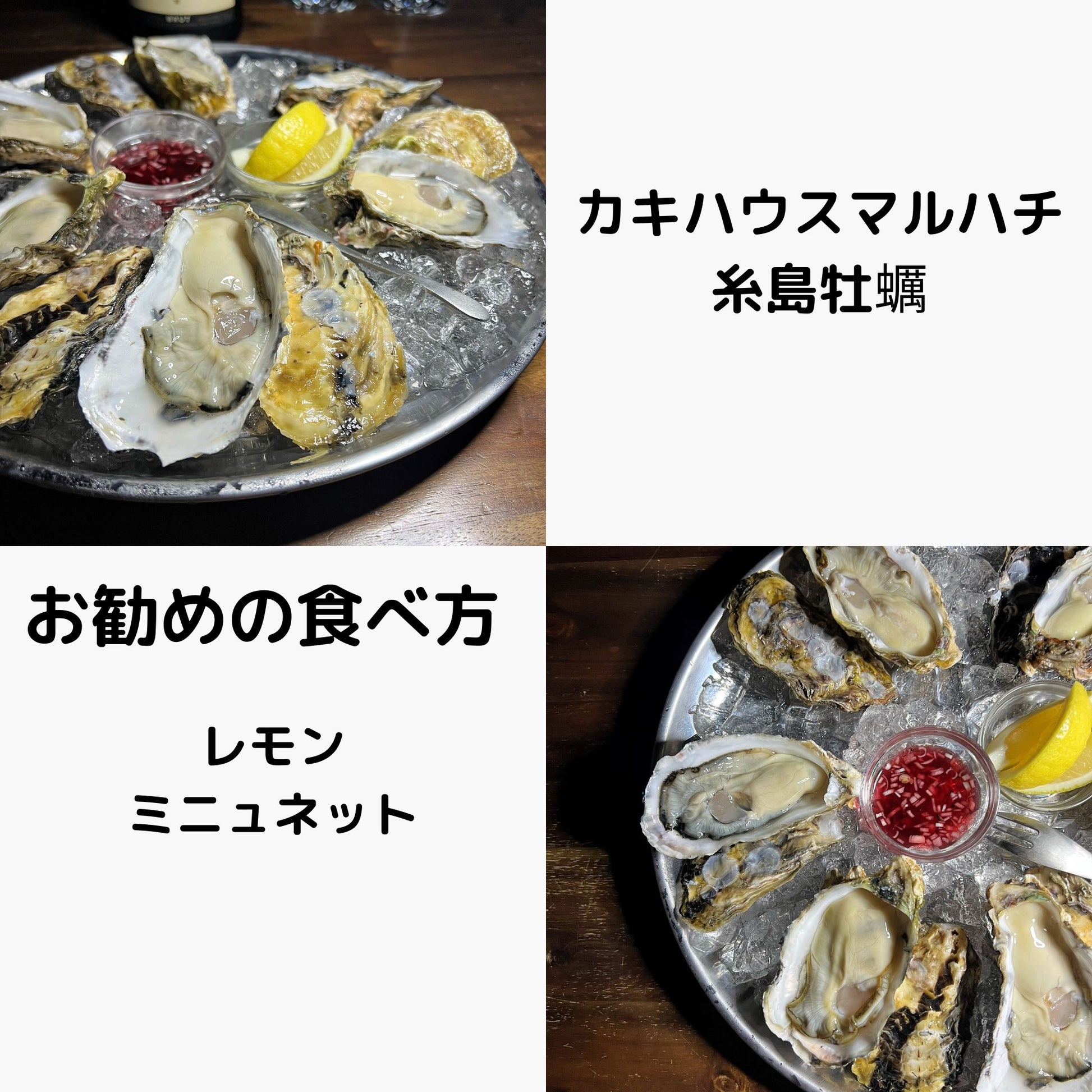 カキハウスマルハチ 糸島直送 糸島牡蠣 牡蠣若手の会