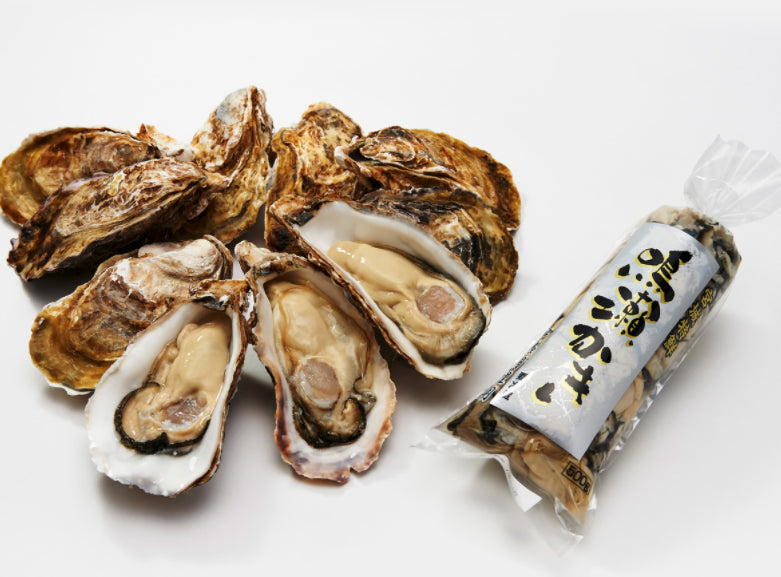 牡蠣好きが絶賛！絶対食べたい宮城県東松島市をブランド牡蠣を紹介！