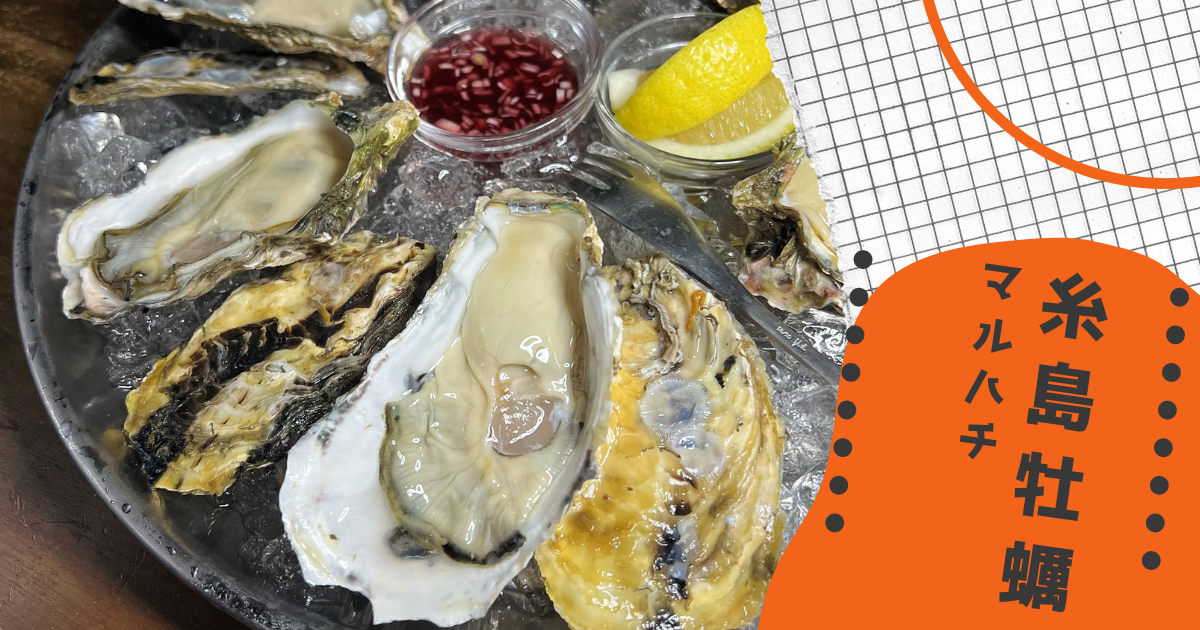 福岡県糸島市のブランド牡蠣！おすすめのめっちゃ美味しい生食可能な殻付き生牡蠣を紹介