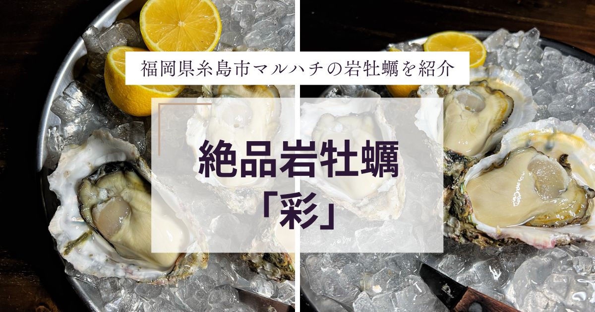 福岡県糸島市のブランド岩牡蠣！めっちゃ美味しい生食可能な殻付き生牡蠣を紹介