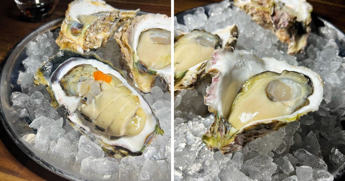 めっちゃクリーミー！鹿児島県長島町の錦盛丸水産のブランド岩牡蠣を紹介