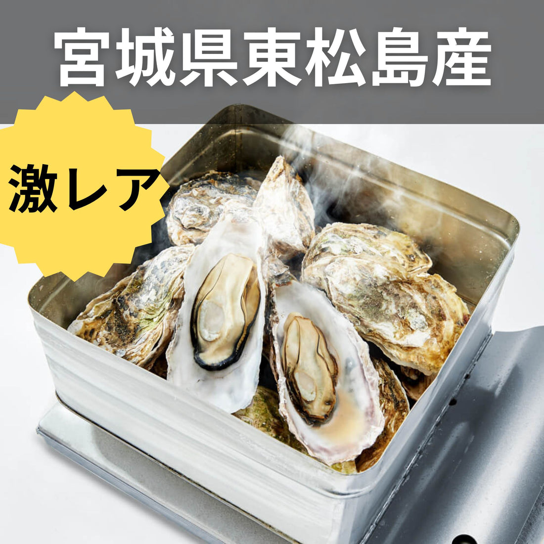 宮城県東松島直送 すごい牡蠣！『後藤水産のカンカン焼きセット』2kg (加熱用) ※送料別