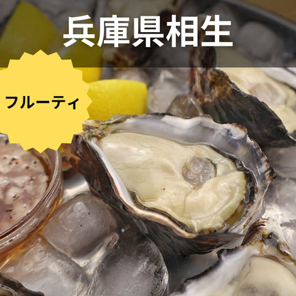 大反響！兵庫県相生市直送 夏でも美味しいブランド牡蠣「波紋」 (生食可 殻付き生牡蠣)