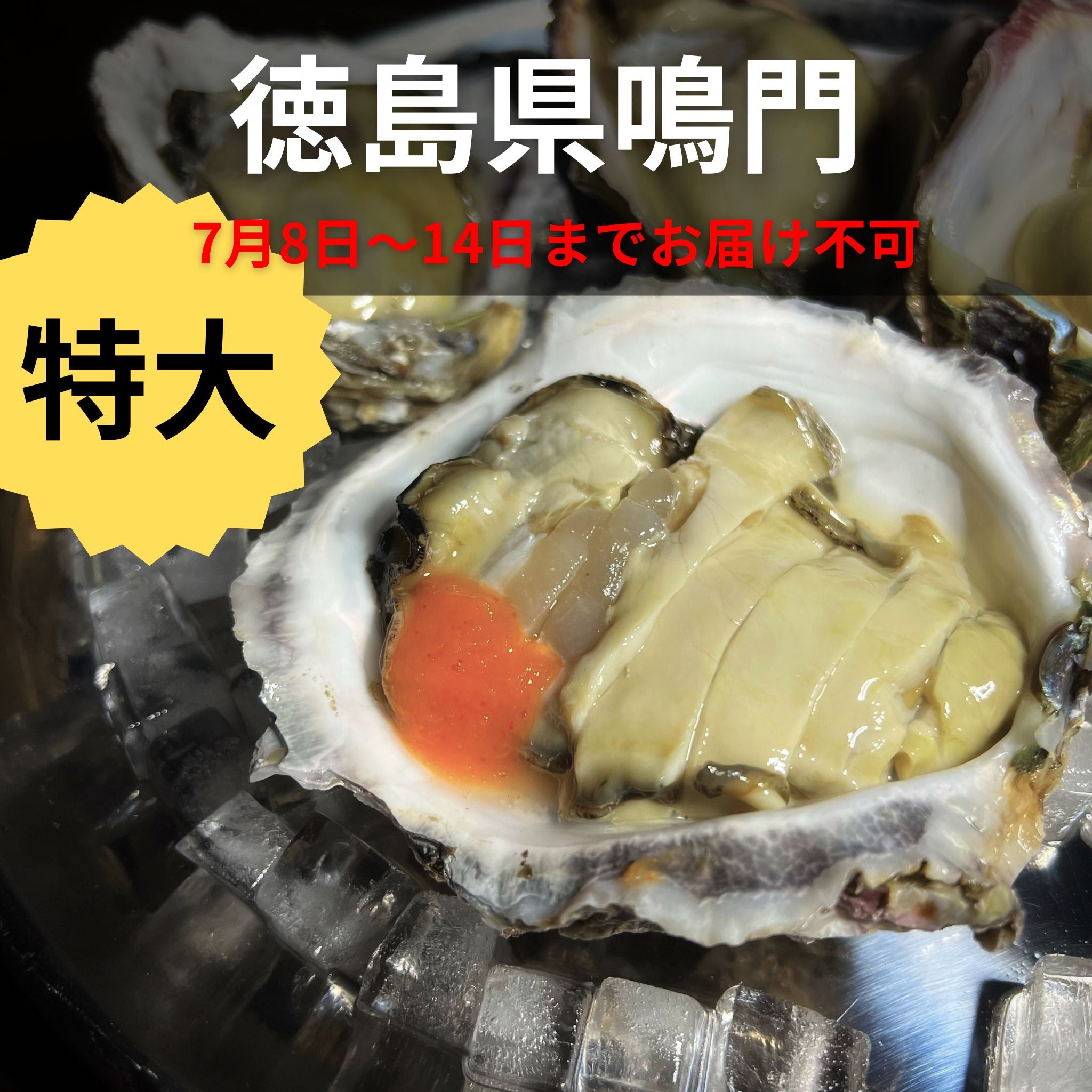 ブランド登録なし 横幕 松島の牡蠣 白 YK-388