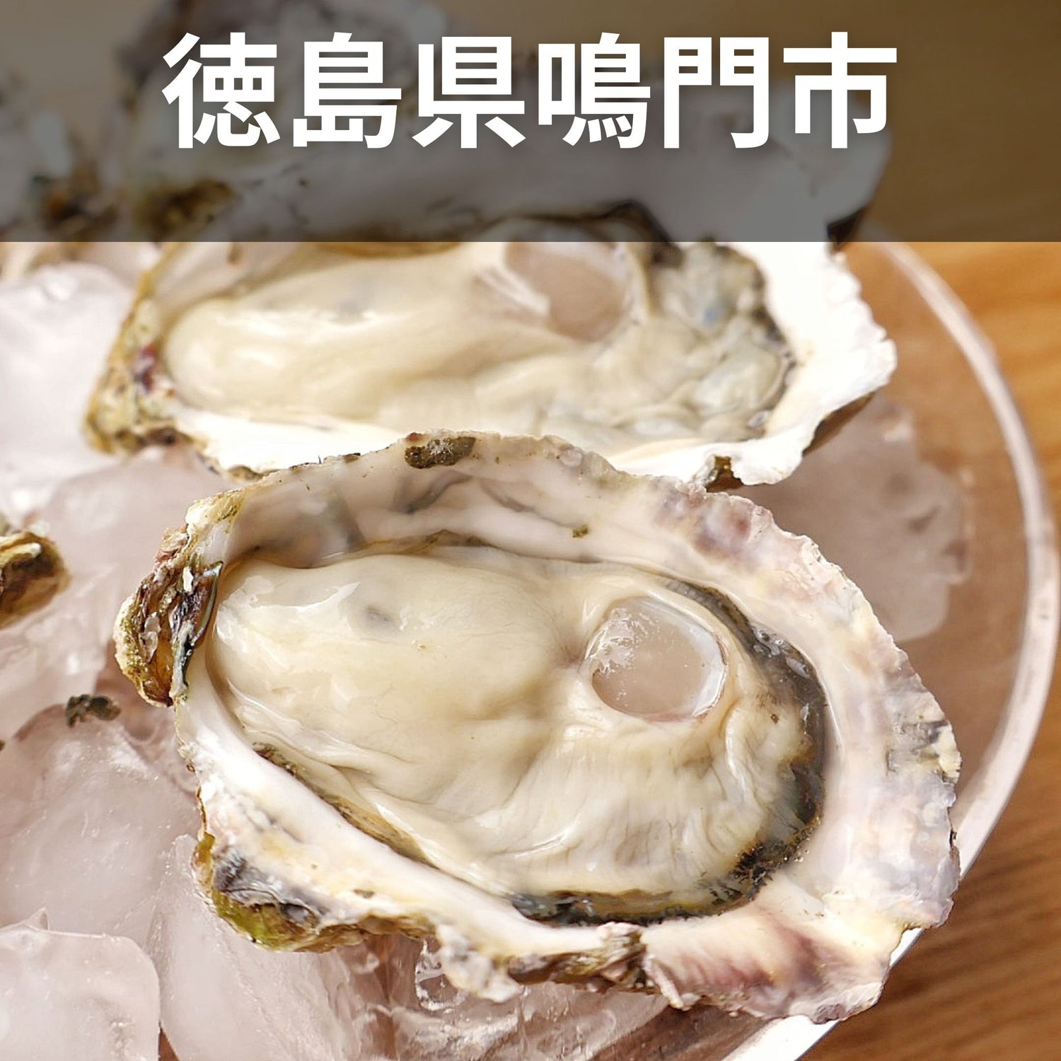 徳島県鳴門市　うちの海牡蠣　渦潮チャンピオン　牡蠣若手の会　産地直送　牡蠣通販